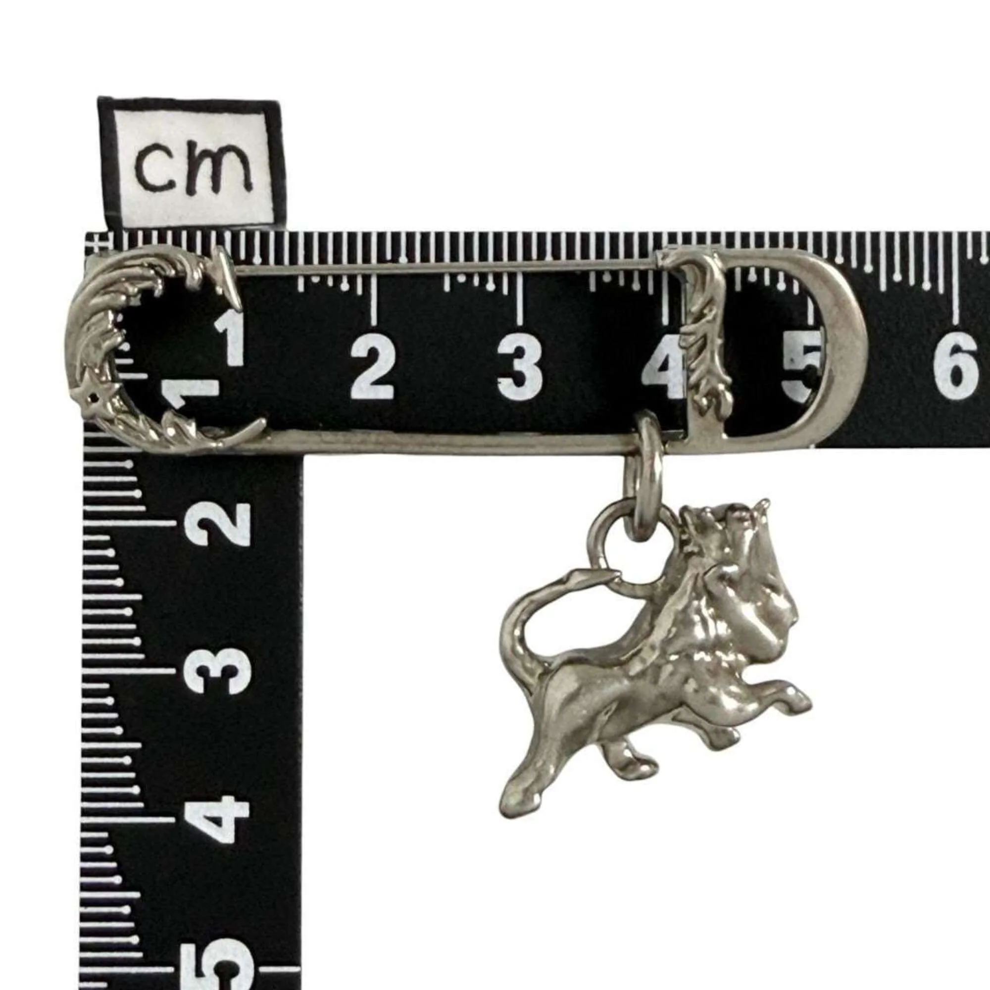 CD Lion Brooch Metal - Image 8