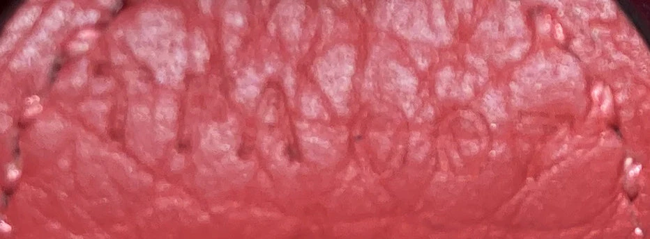Evelyne Bag Gen III Clemence TPM - Image 7