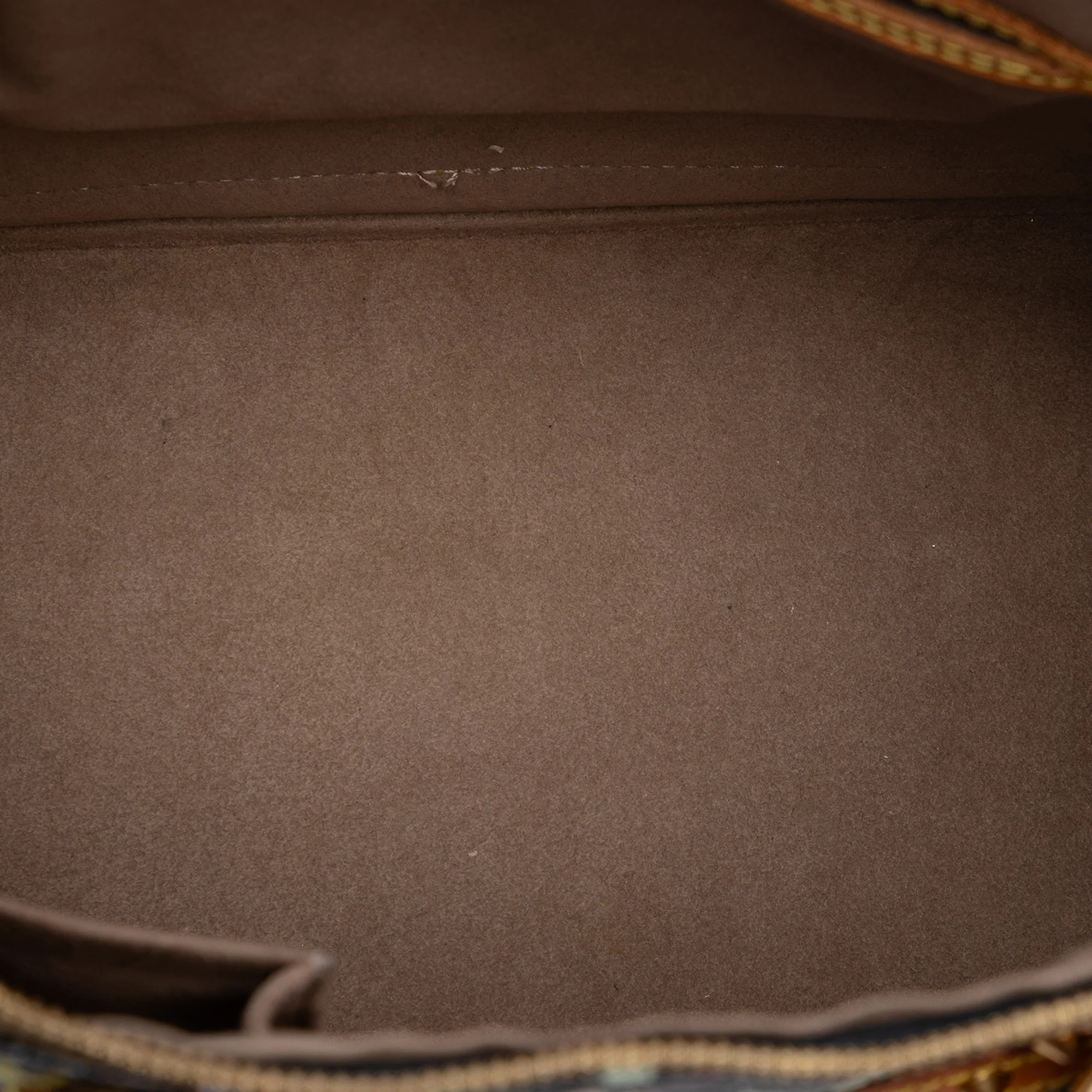 Alma Handbag Monogram Multicolor PM - Image 4
