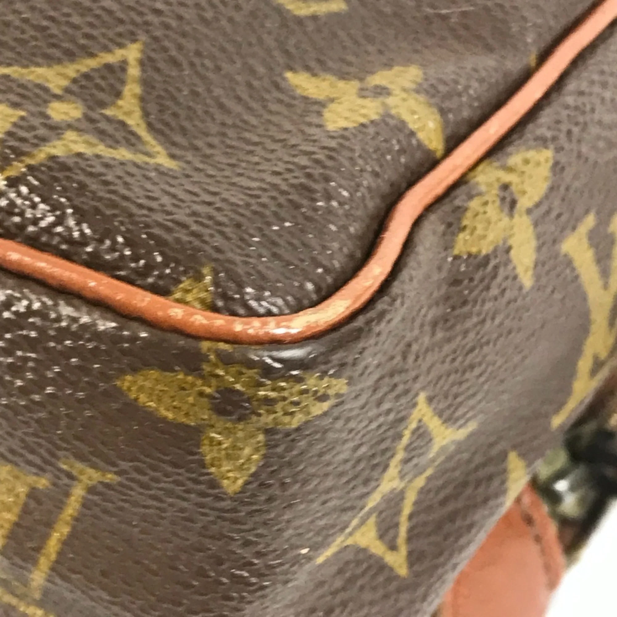Amazone Bag Monogram Canvas - Image 8