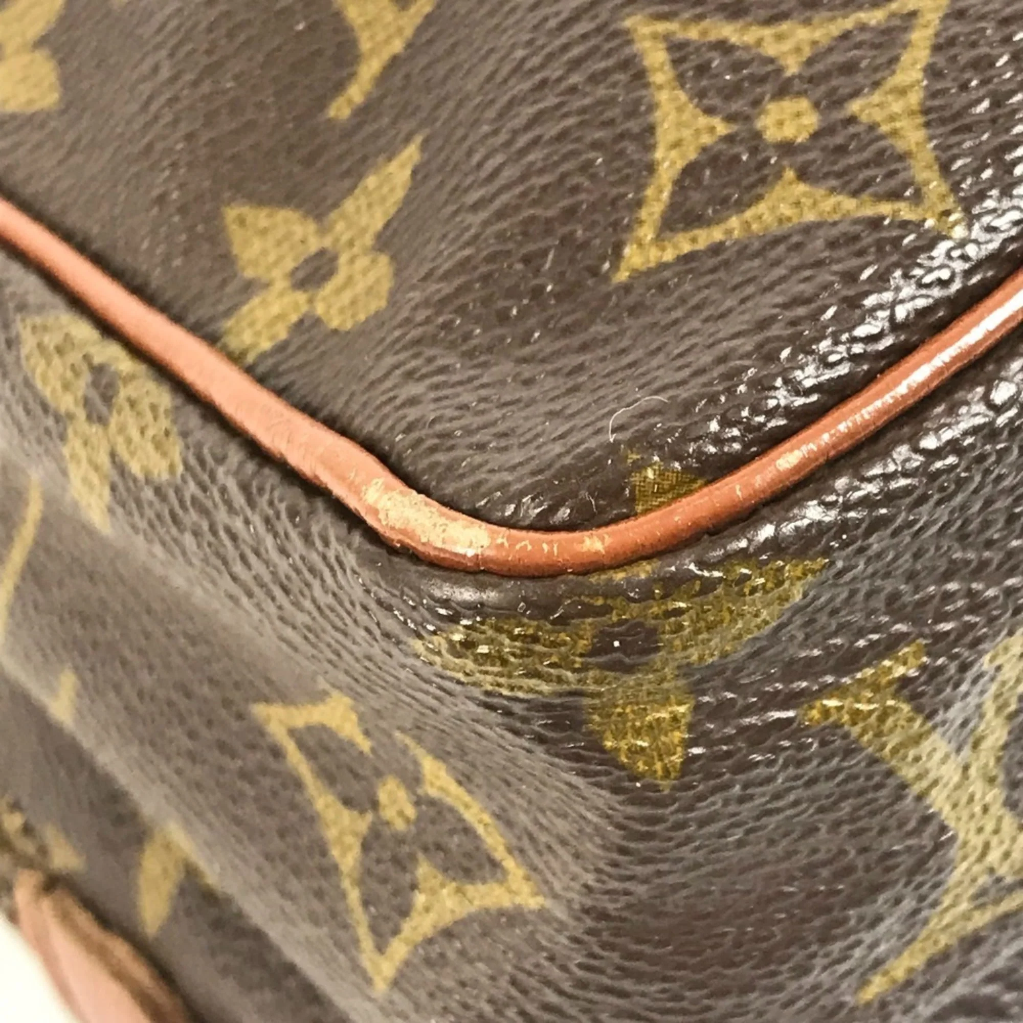 Amazone Bag Monogram Canvas - Image 9