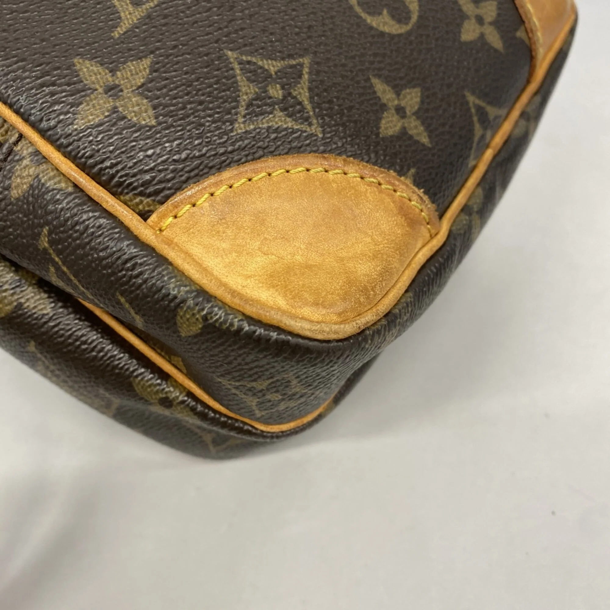 Amazone Bag Monogram Canvas - Image 7