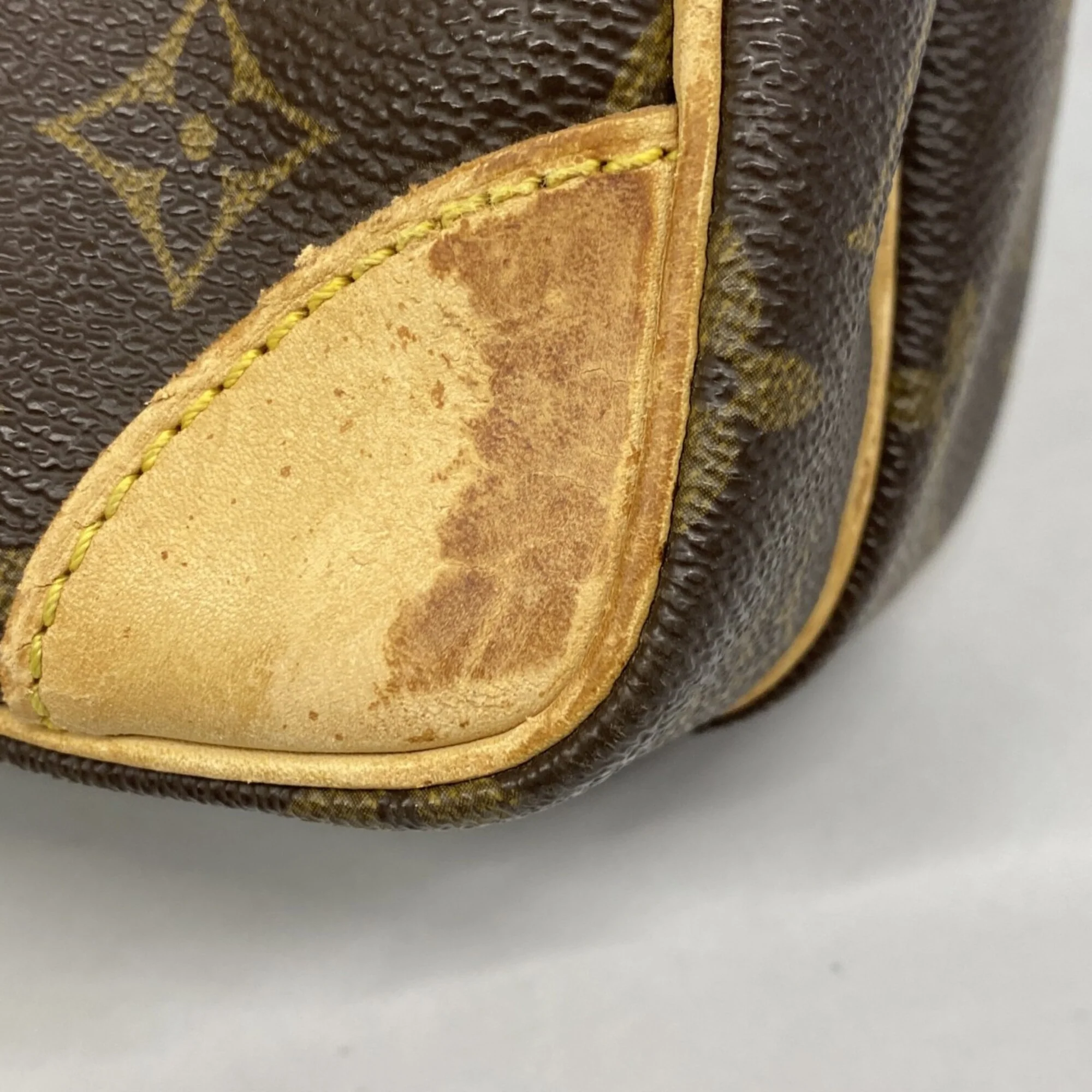 Amazone Bag Monogram Canvas - Image 8