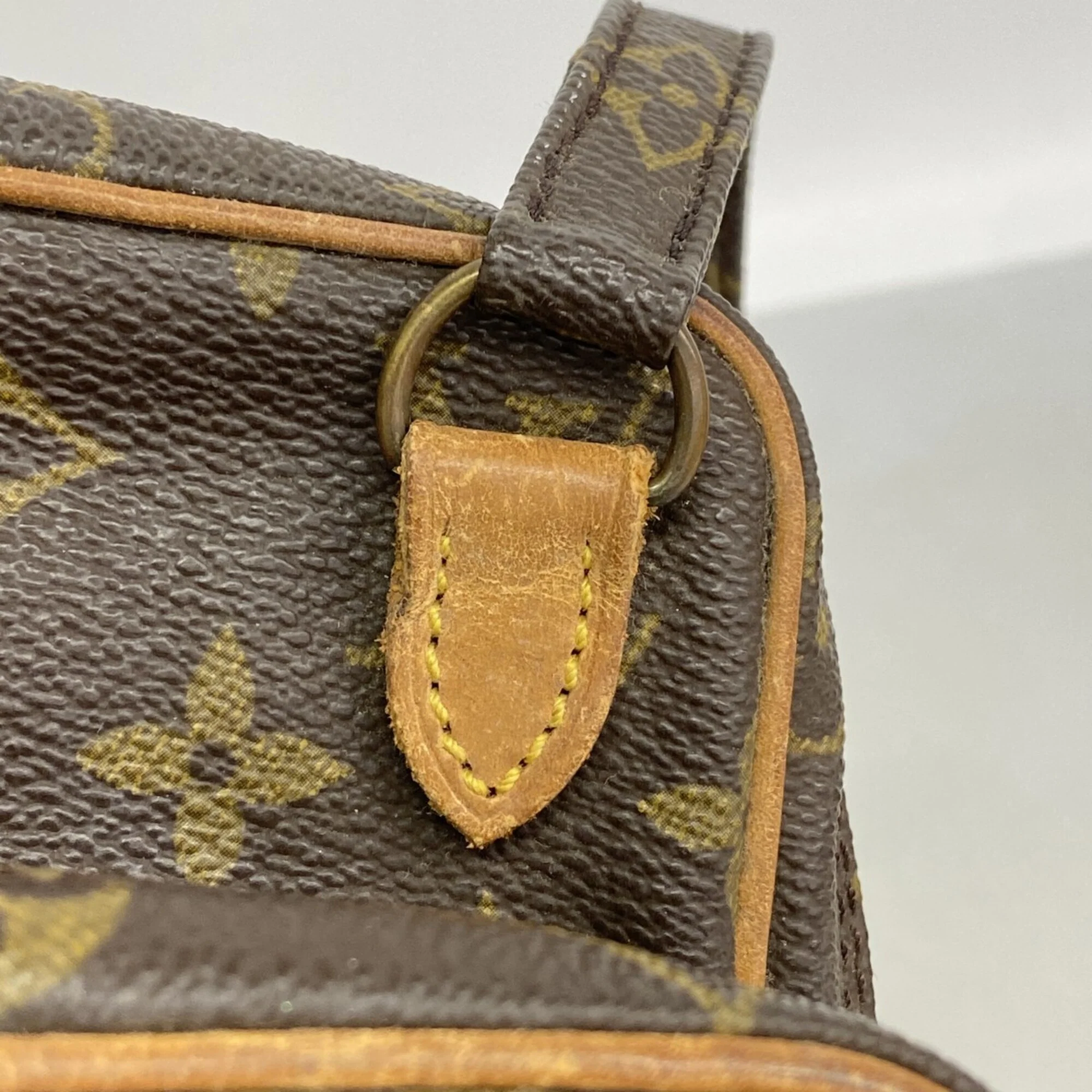 Amazone Bag Monogram Canvas - Image 8