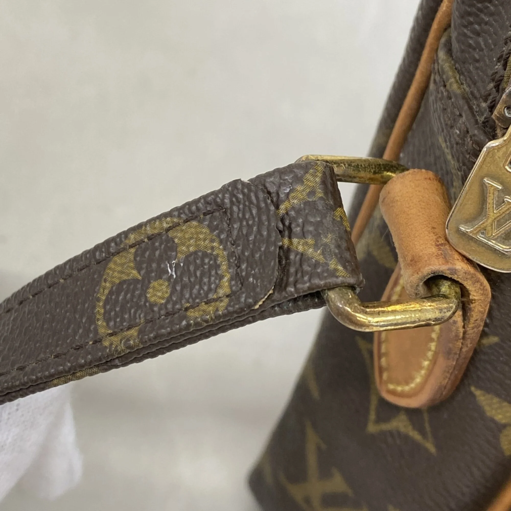 Amazone Bag Monogram Canvas - Image 7