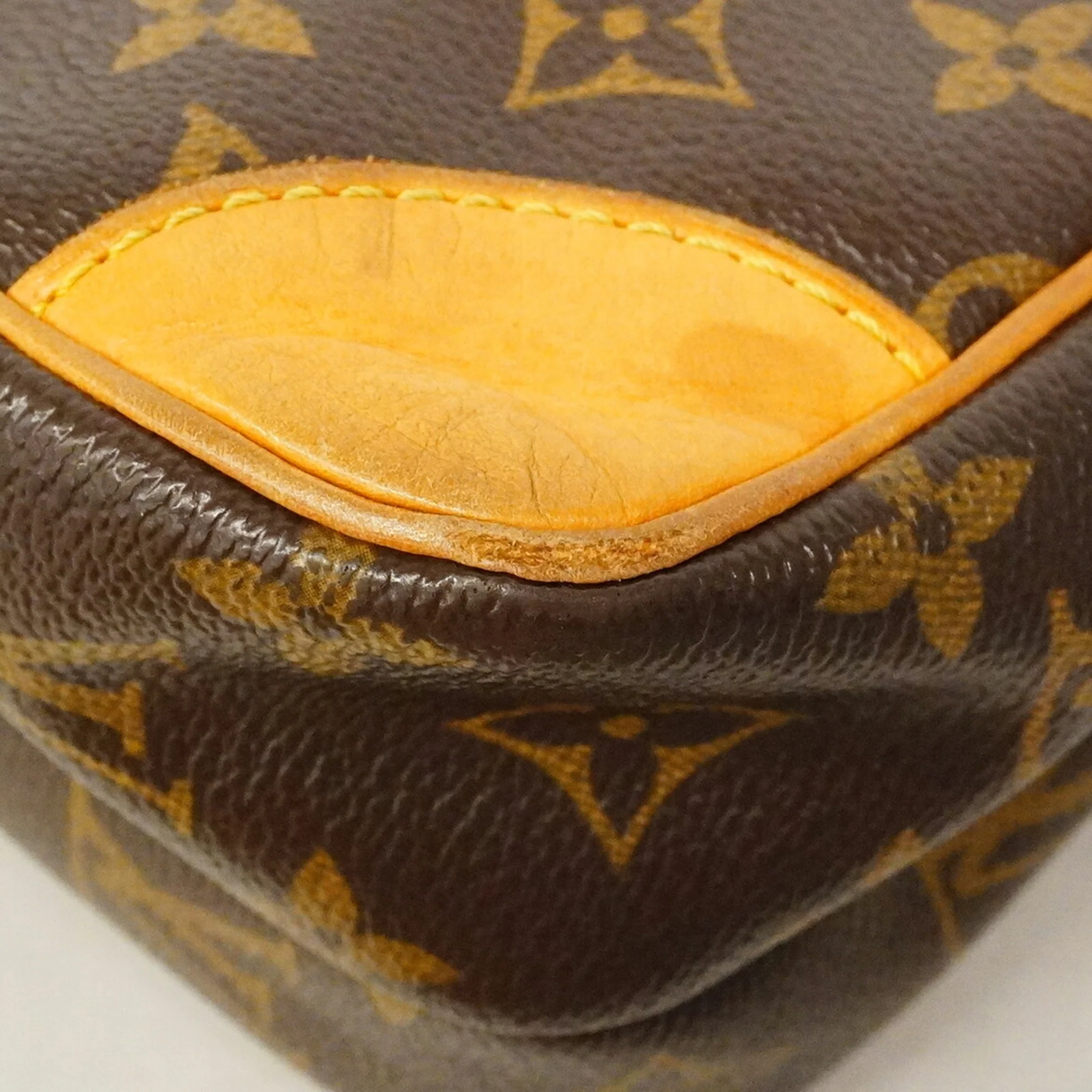 Amazone Bag Monogram Canvas - Image 7