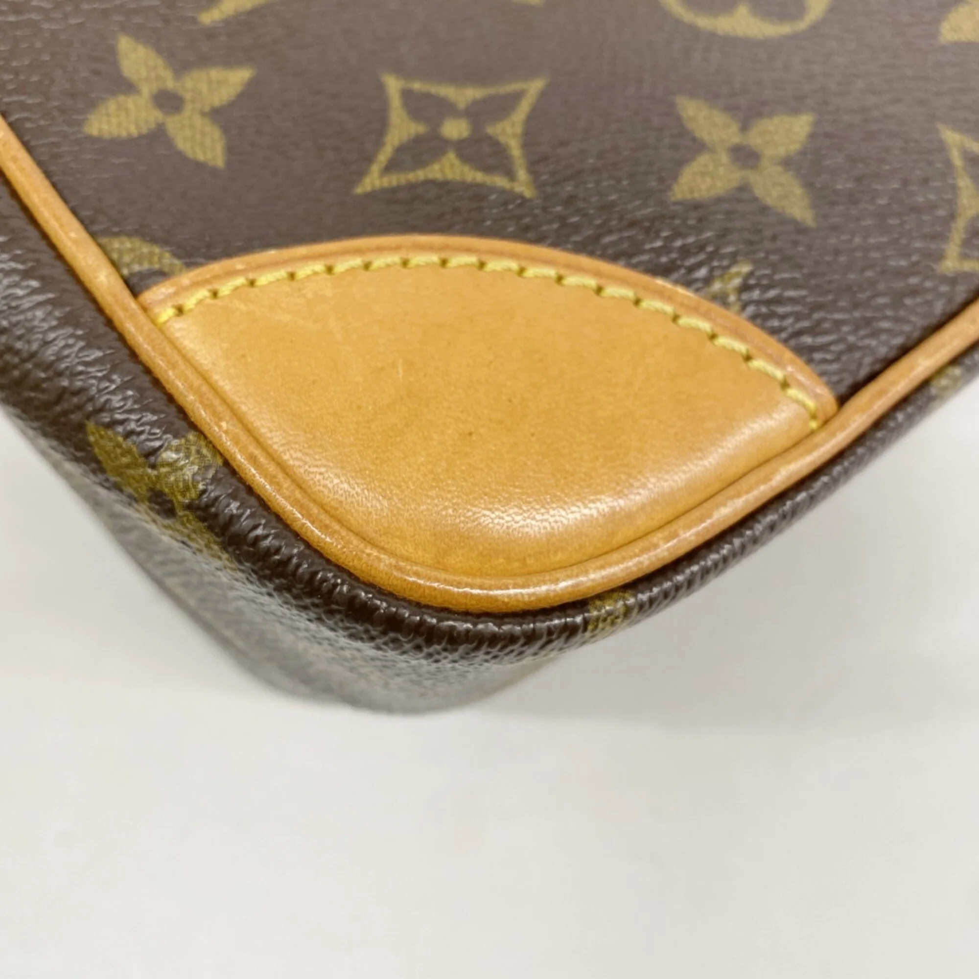 Amazone Bag Monogram Canvas - Image 8