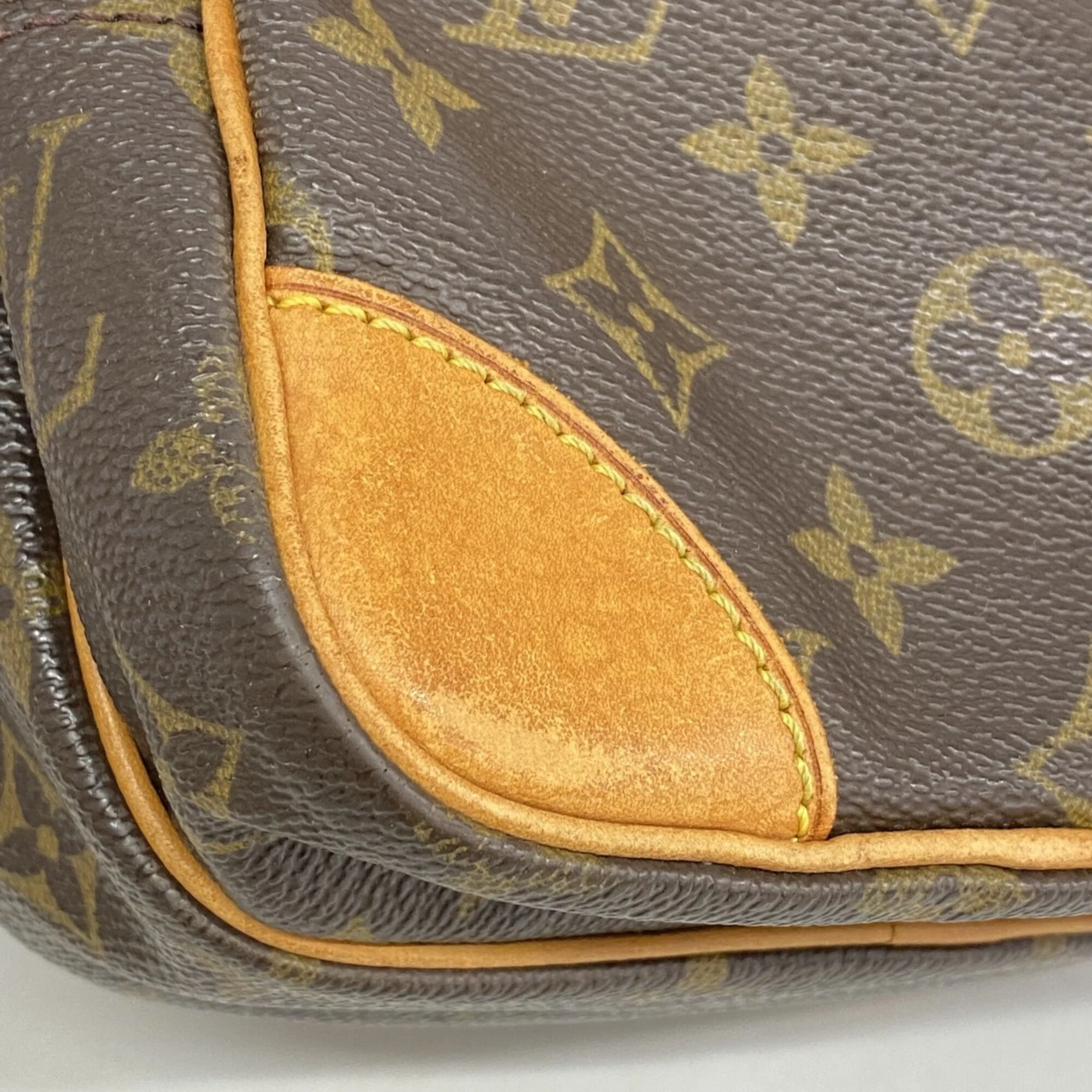 Amazone Bag Monogram Canvas - Image 7