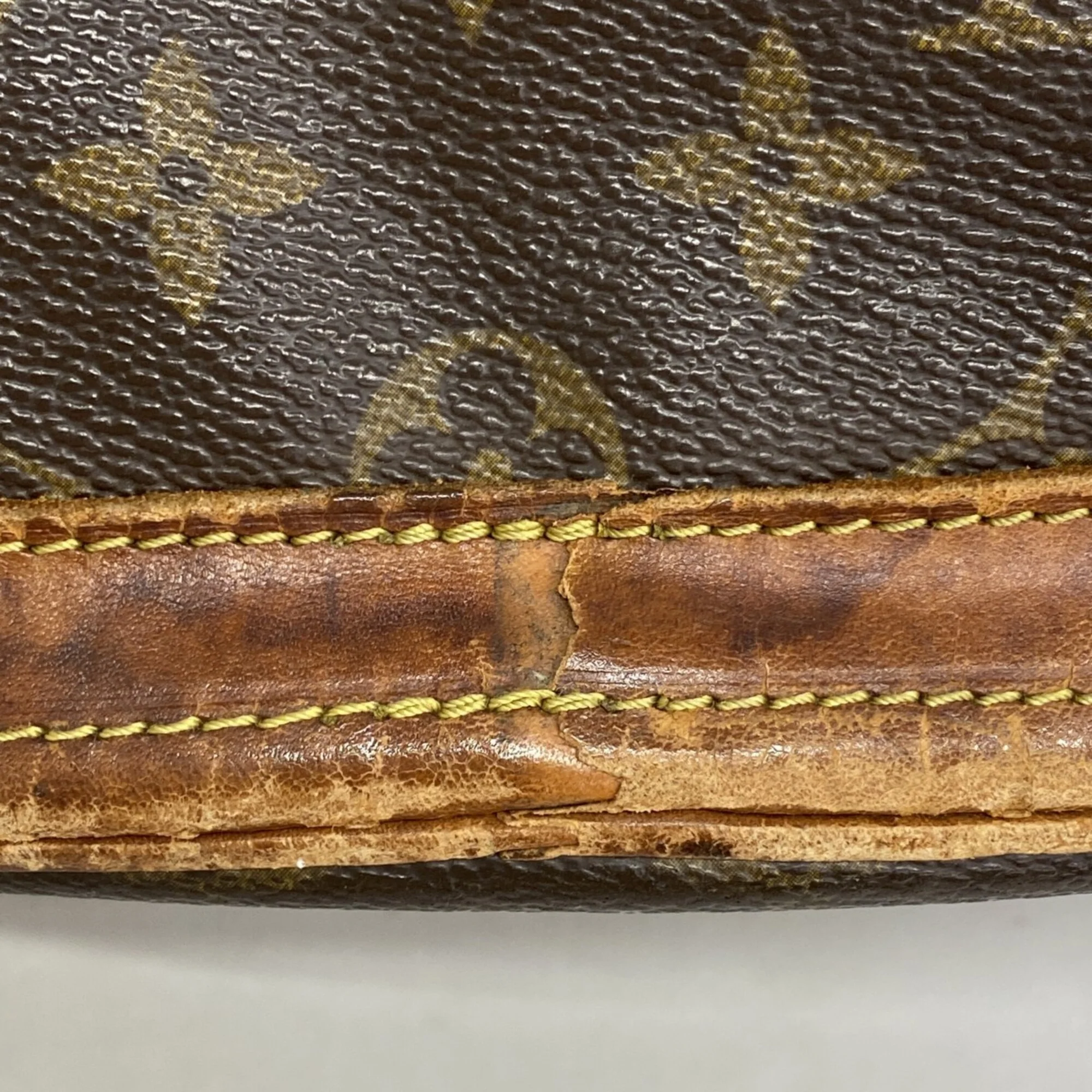 Bucket Bag Monogram Canvas GM - Image 6