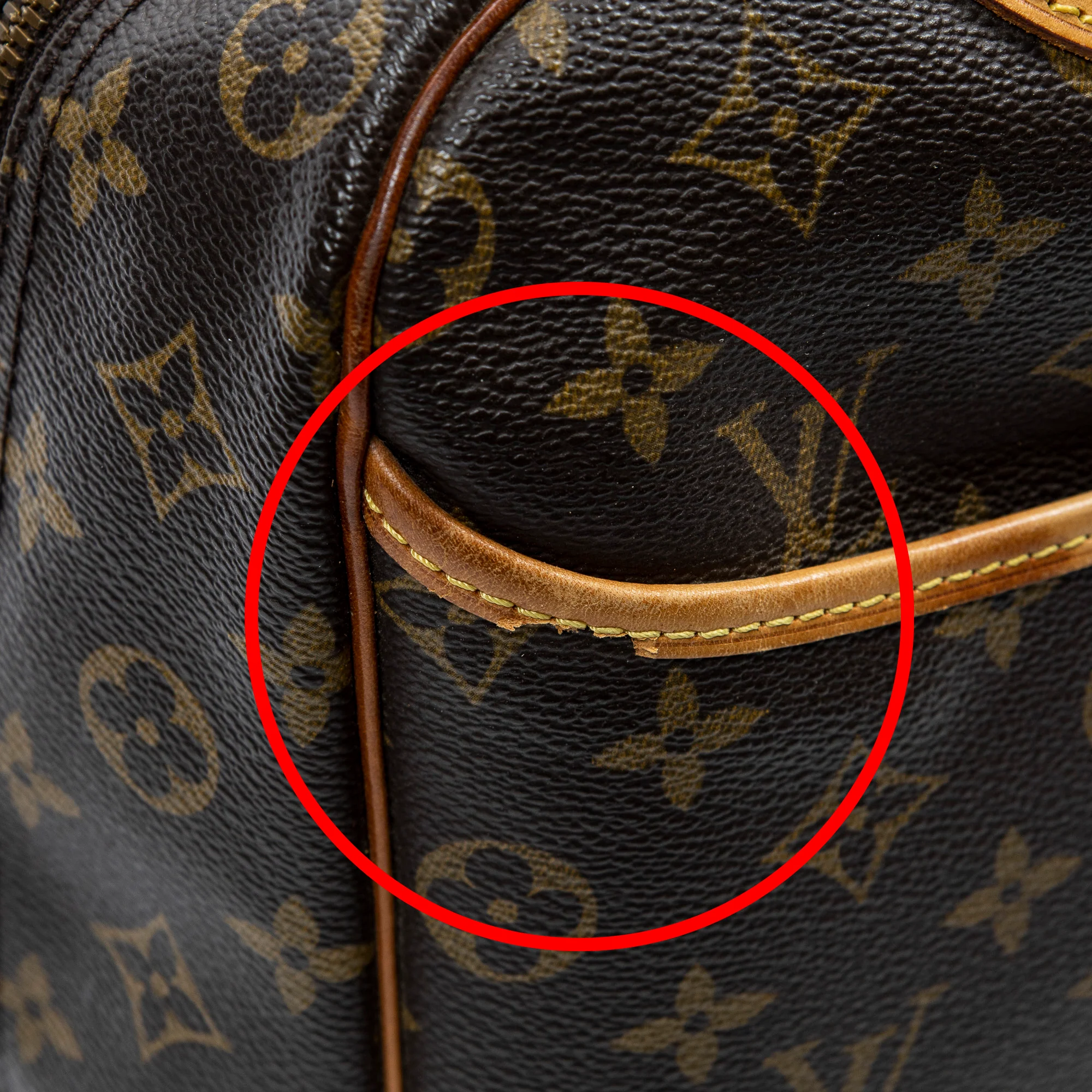 Deauville Handbag Monogram Canvas - Image 7