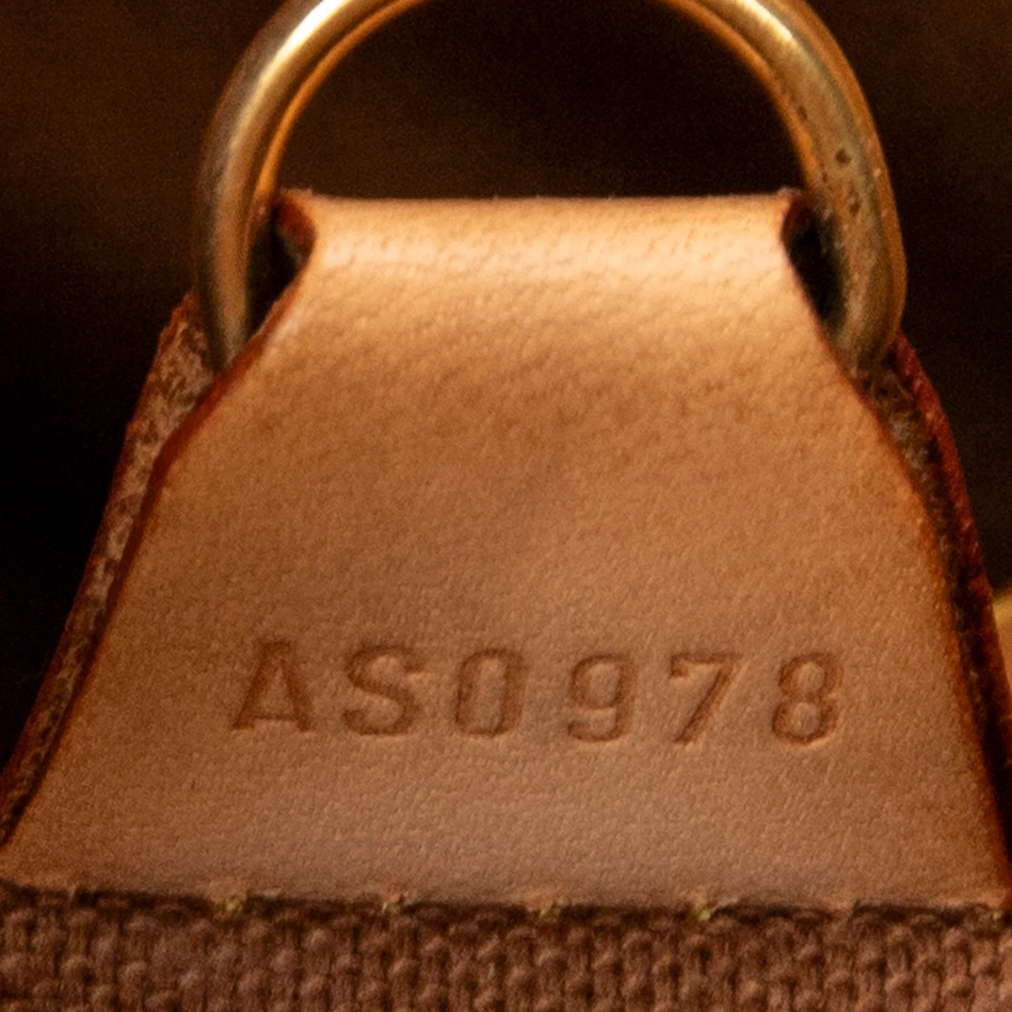 Ellipse Bag Monogram Canvas MM - Image 10
