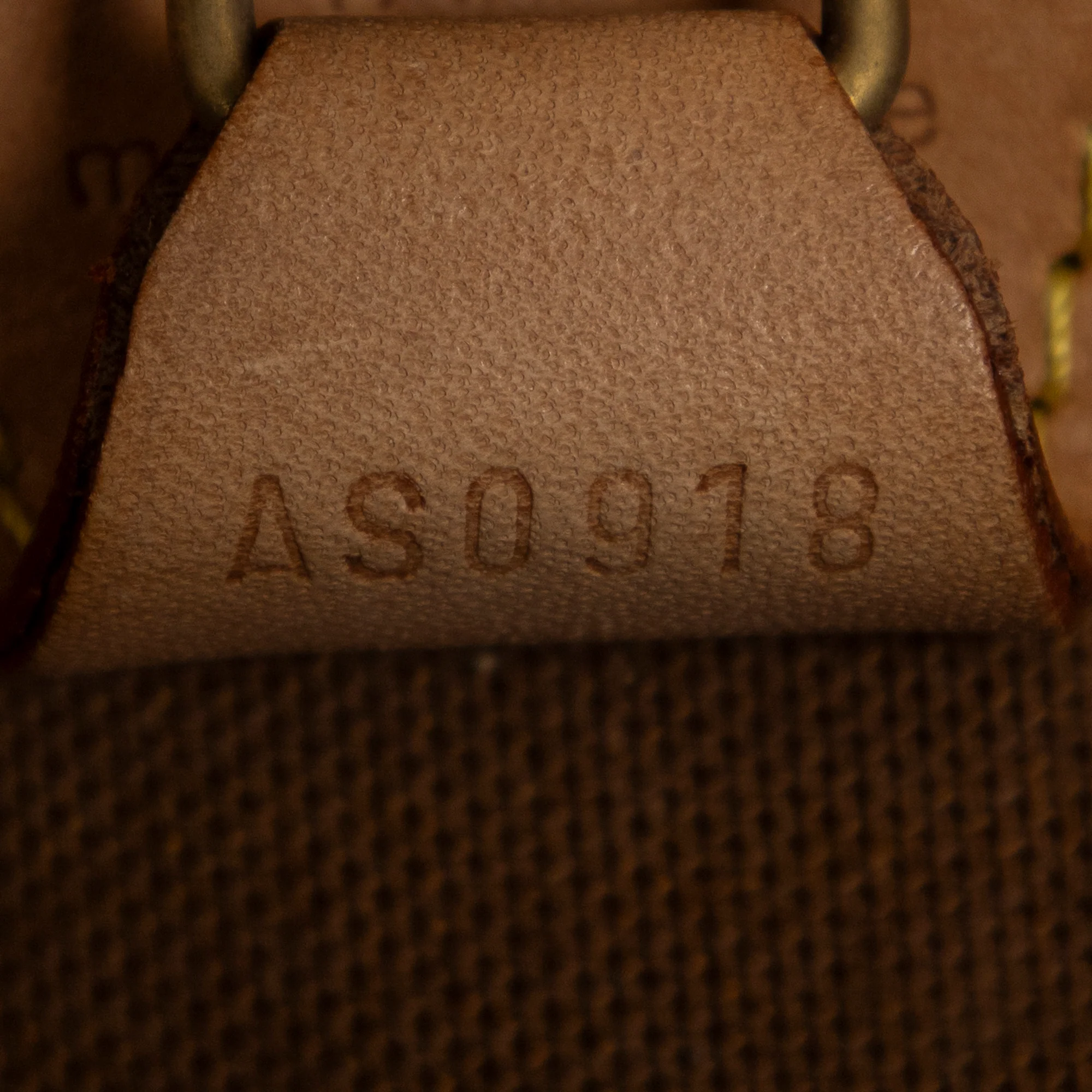 Ellipse Bag Monogram Canvas MM - Image 10