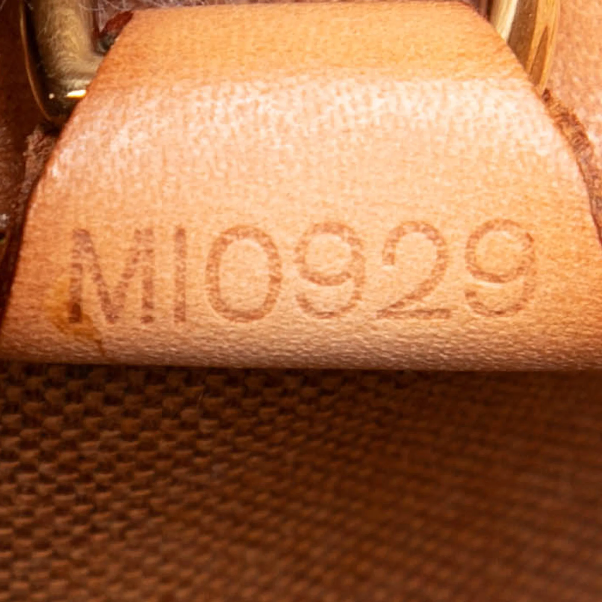 Ellipse Bag Monogram Canvas MM - Image 6