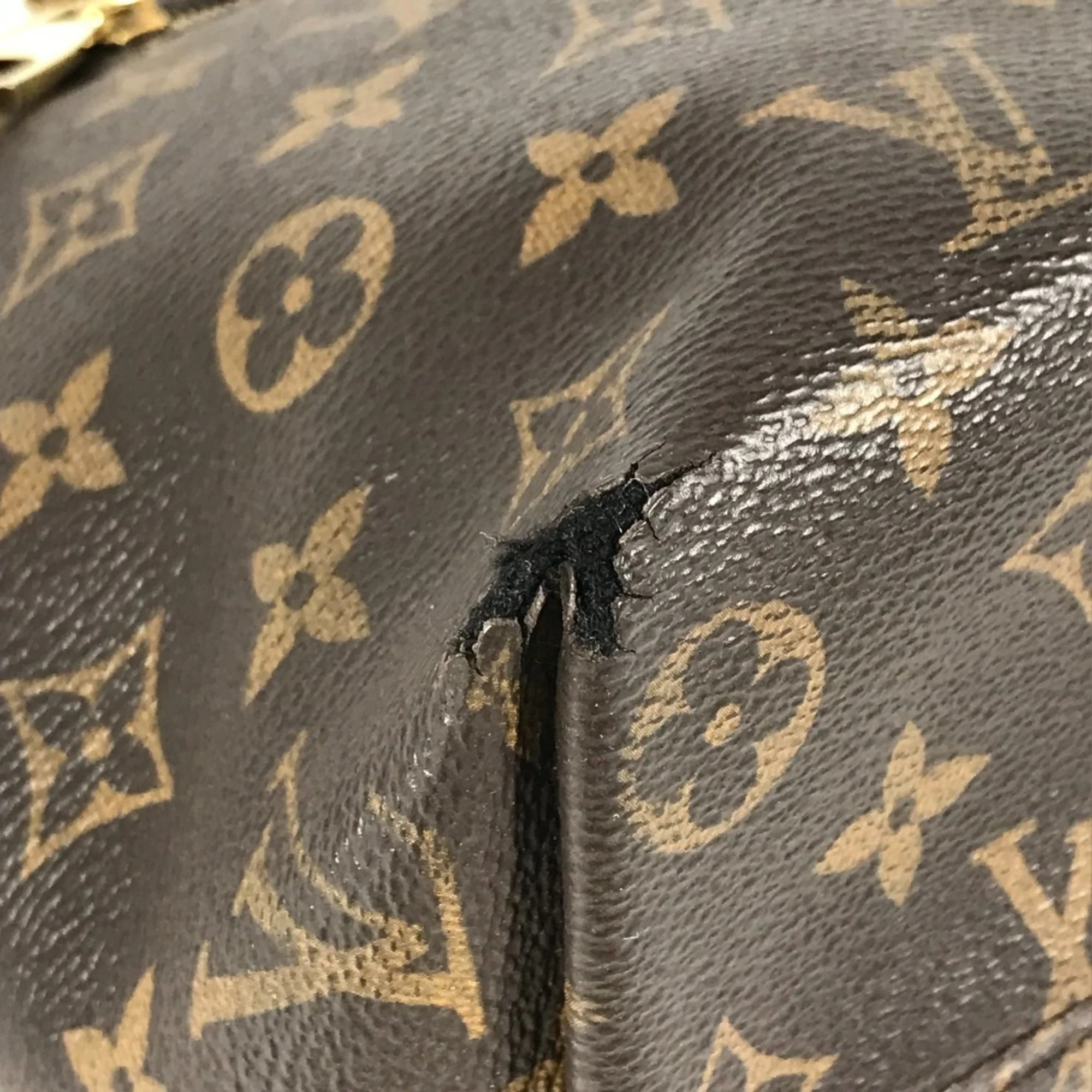 Iena Tote Monogram Canvas PM - Image 6