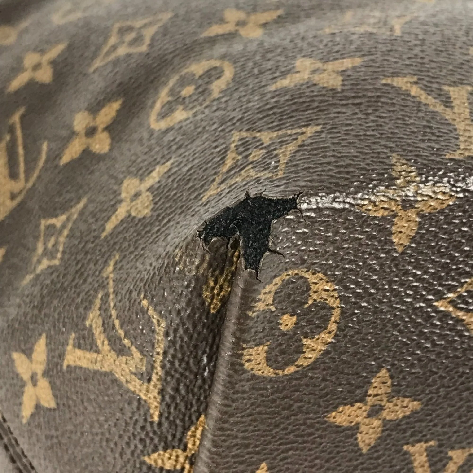 Iena Tote Monogram Canvas PM - Image 8