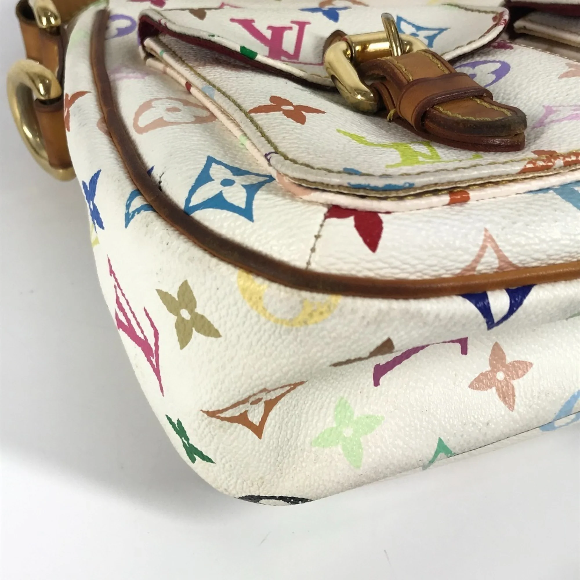 Lodge Handbag Monogram Multicolor PM - Image 6