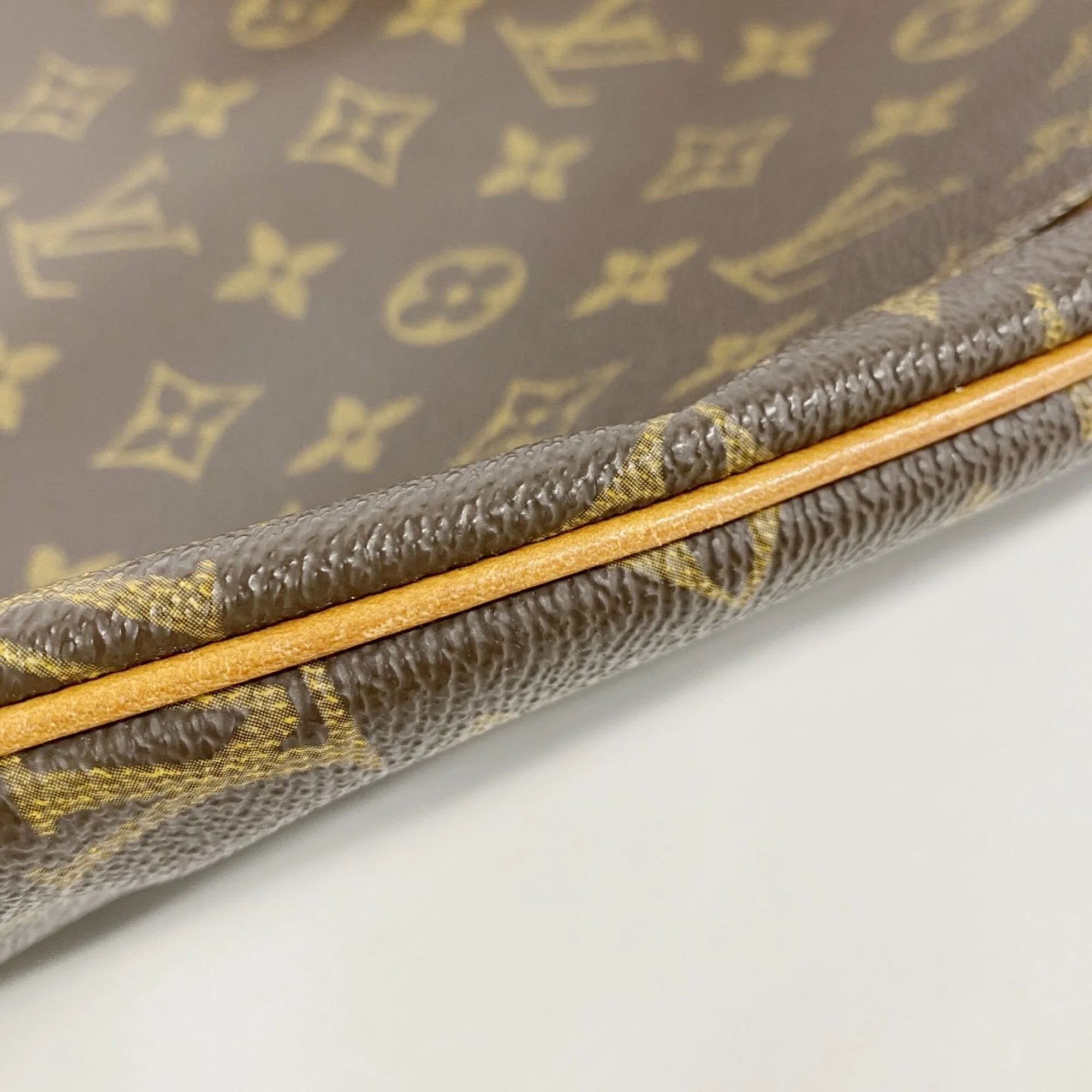 Musette Salsa Handbag Monogram Canvas GM - Image 7