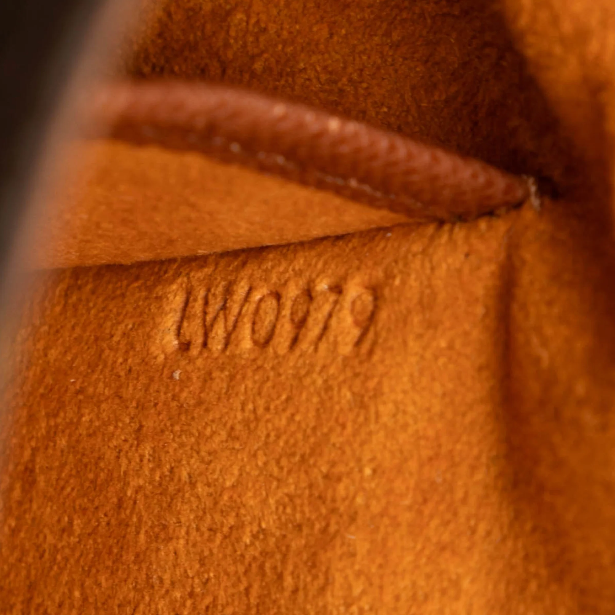 Musette Salsa Handbag Monogram Canvas PM - Image 6