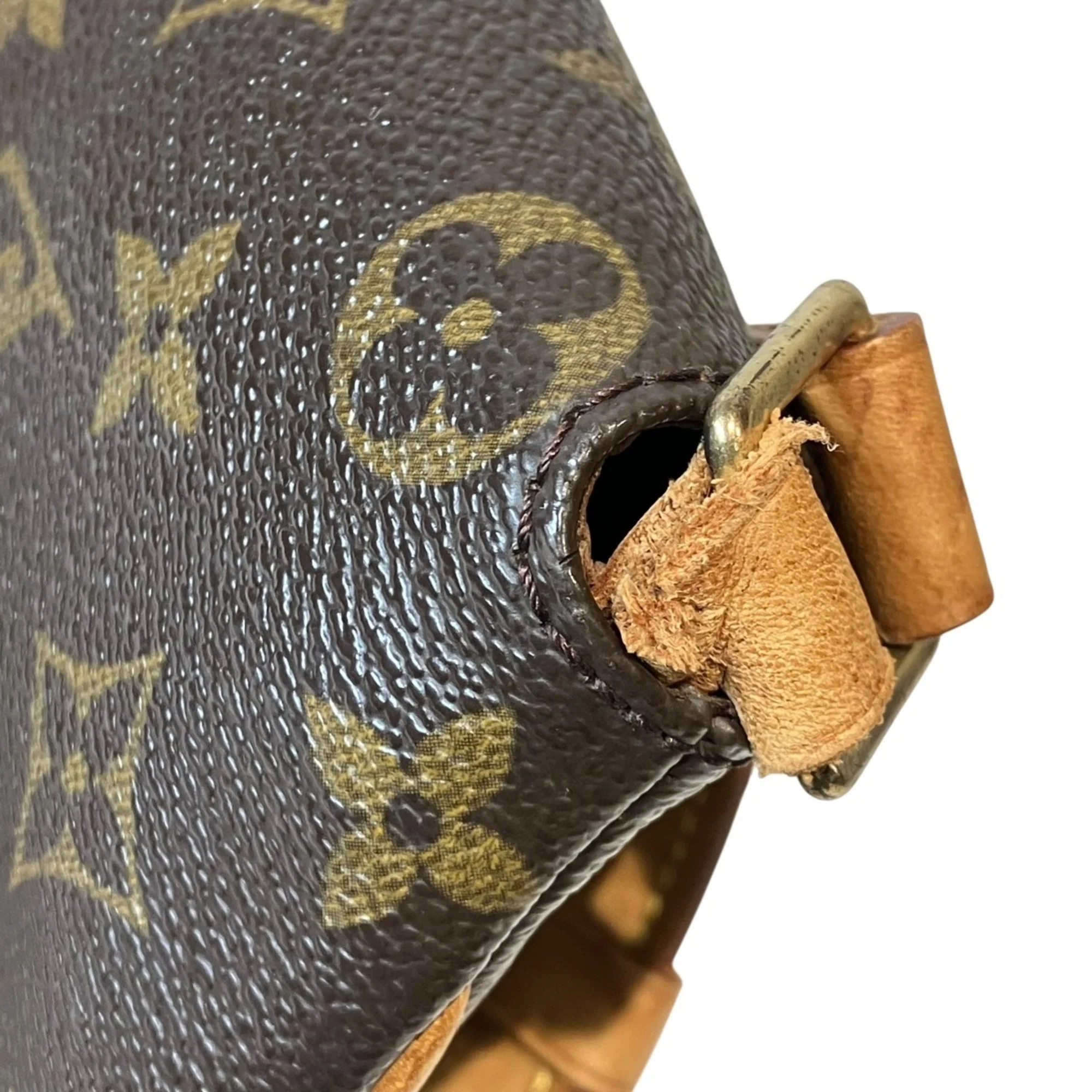 Musette Salsa Handbag Monogram Canvas PM - Image 5