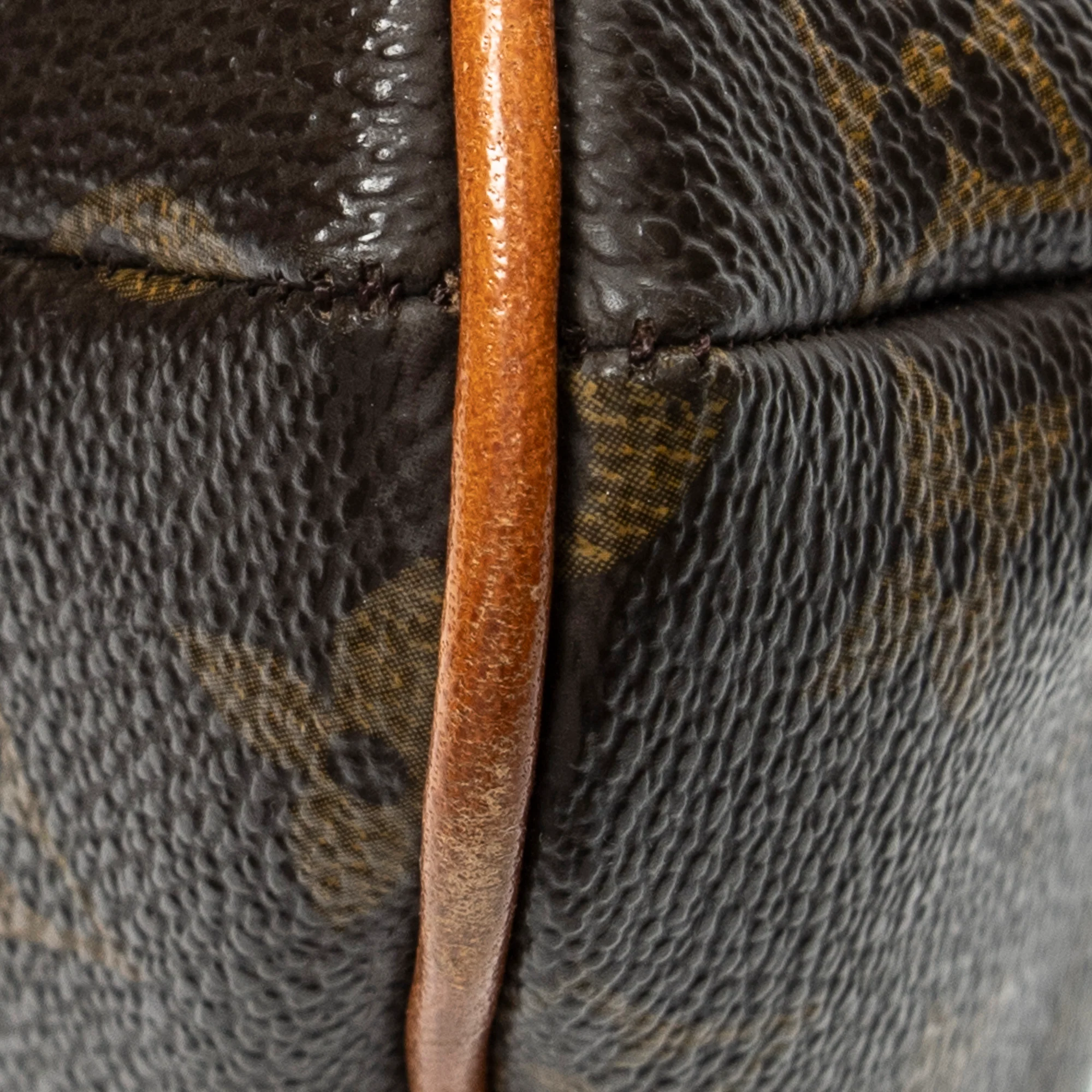 Musette Tango Handbag Monogram Canvas - Image 8