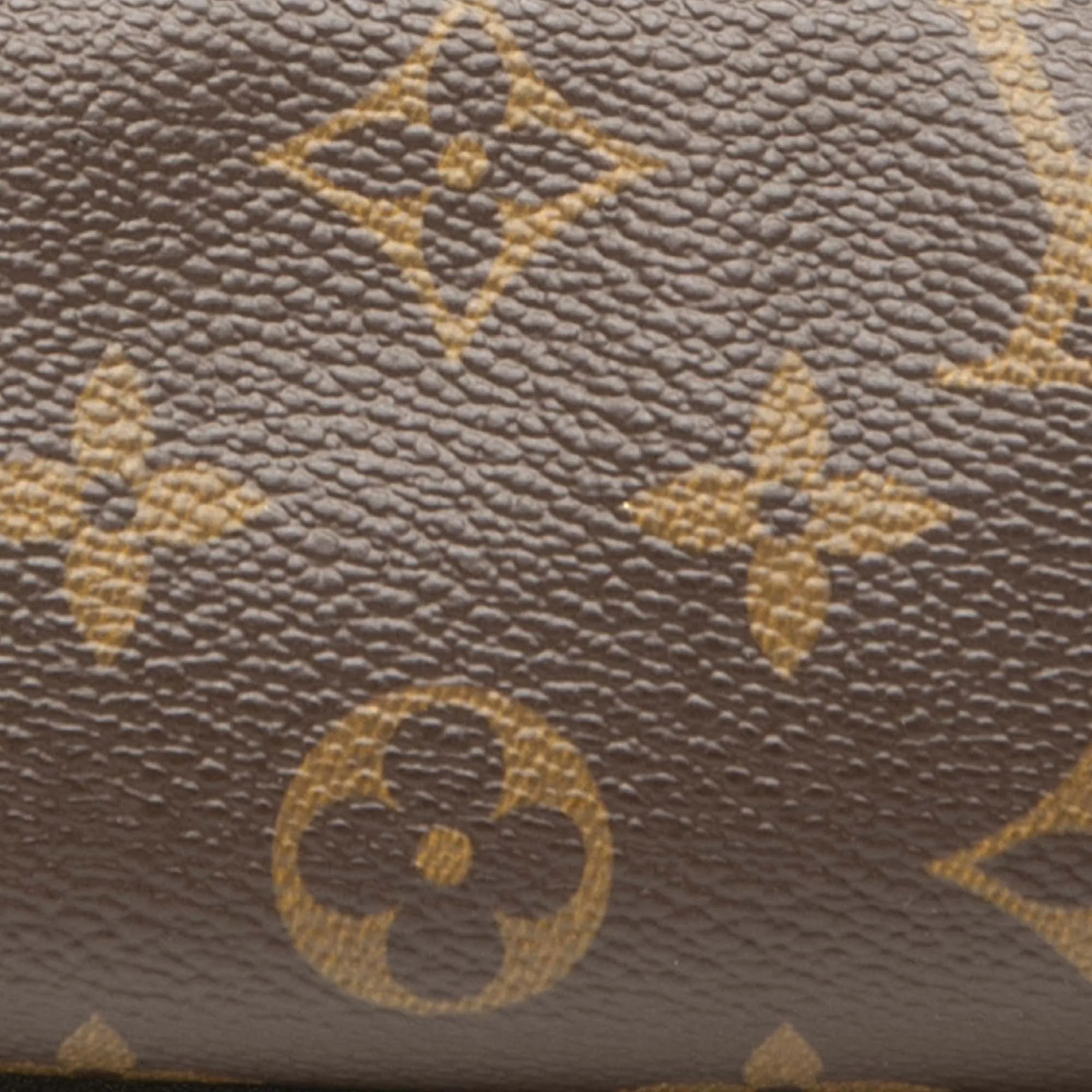 Papillon Pochette Monogram Canvas Mini - Image 6