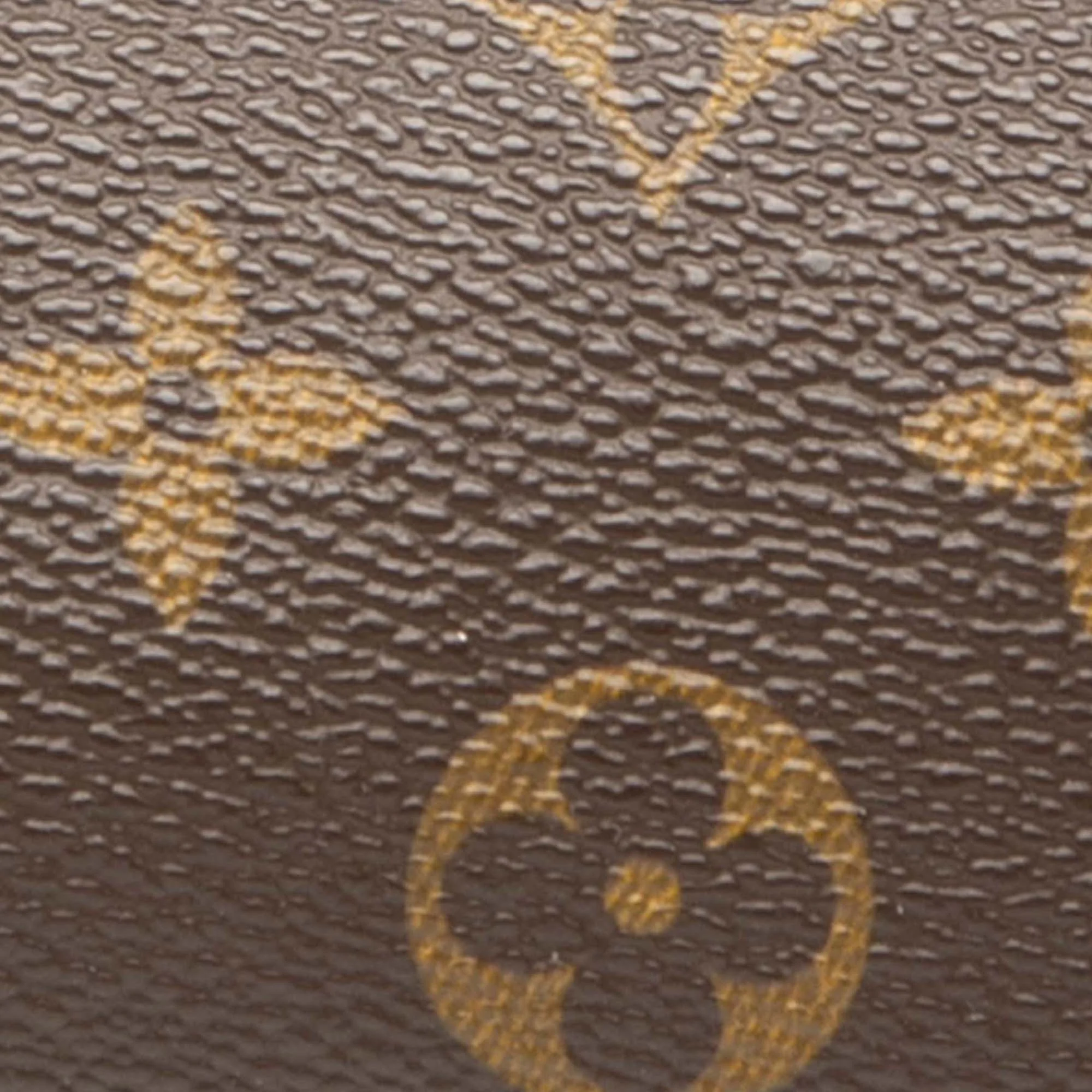 Papillon Pochette Monogram Canvas Mini - Image 5