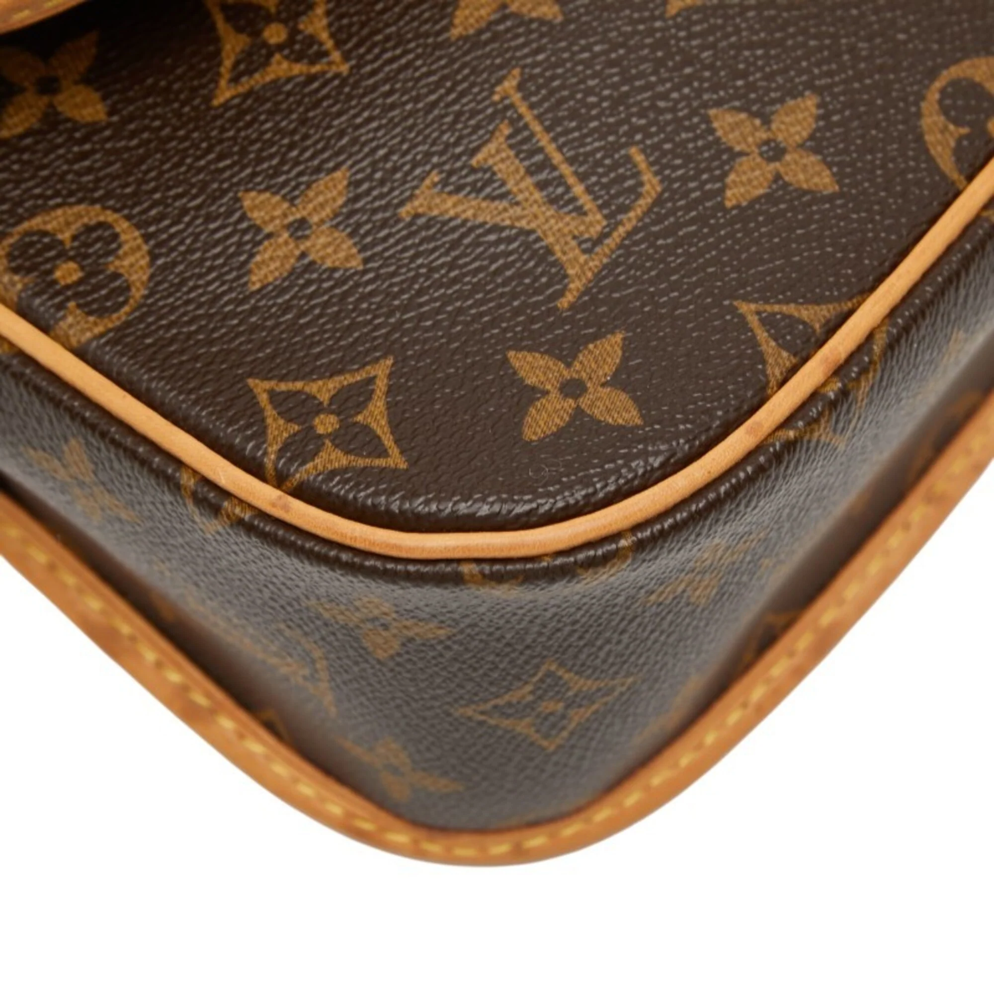 Sologne Handbag Monogram Canvas - Image 5