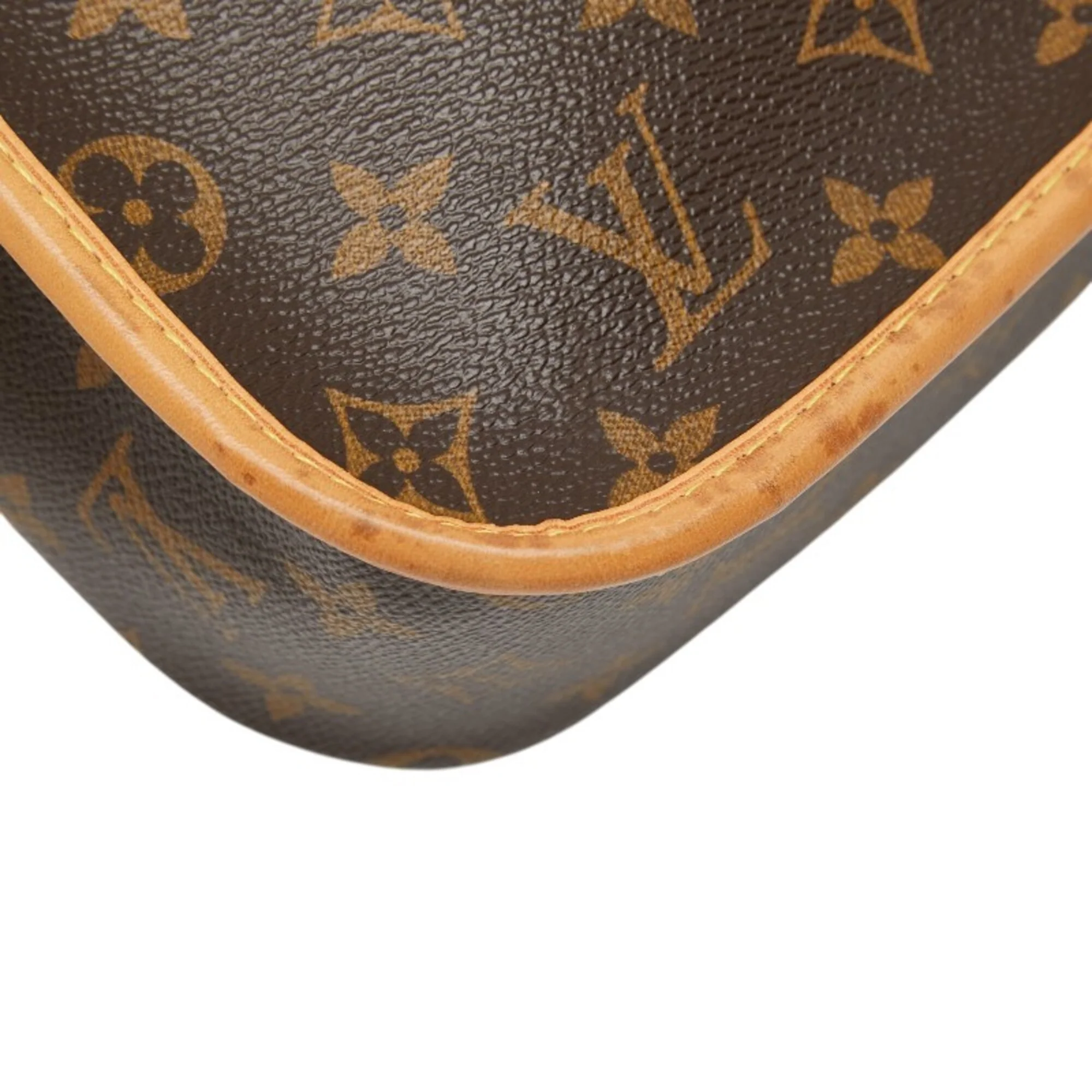 Sologne Handbag Monogram Canvas - Image 7