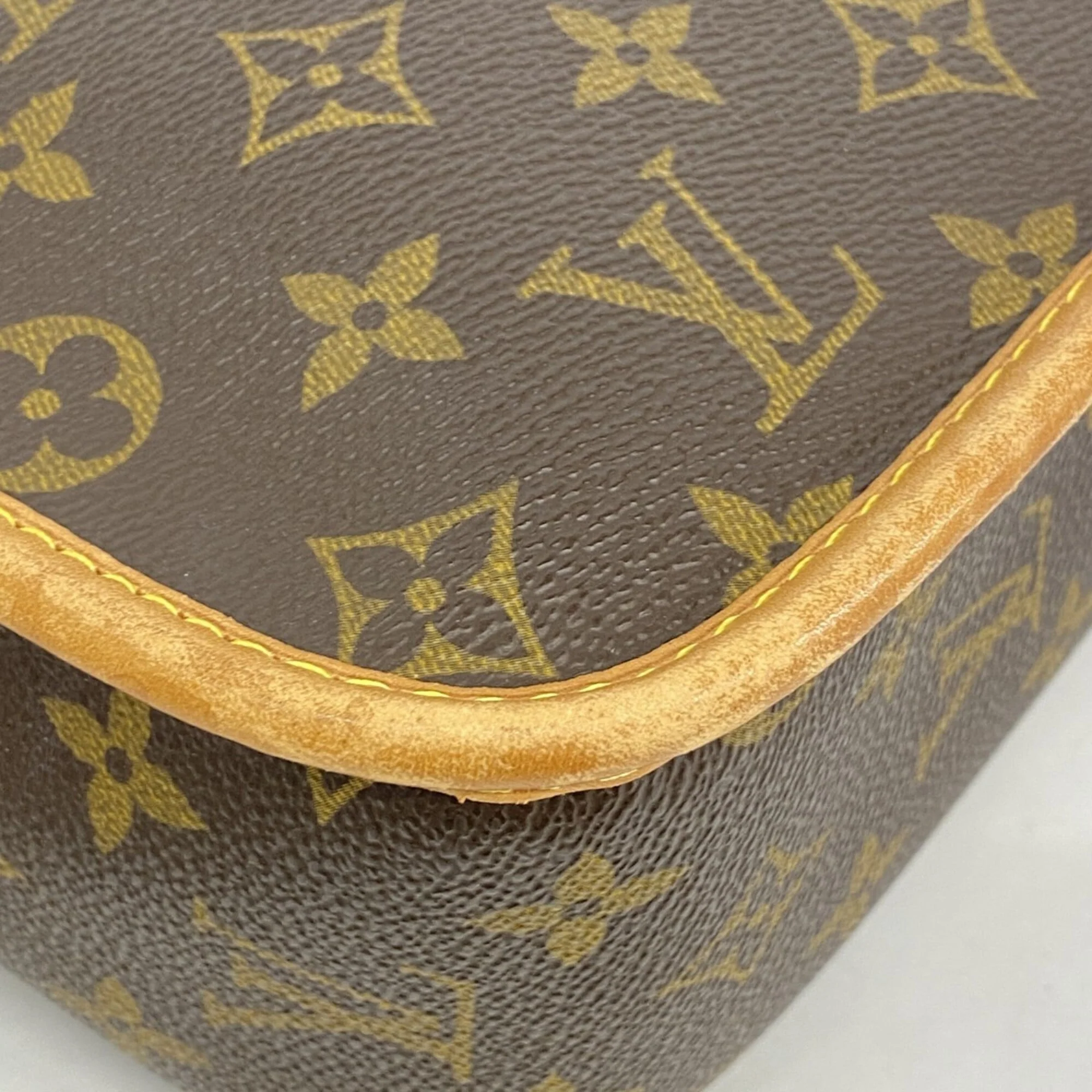Sologne Handbag Monogram Canvas - Image 6