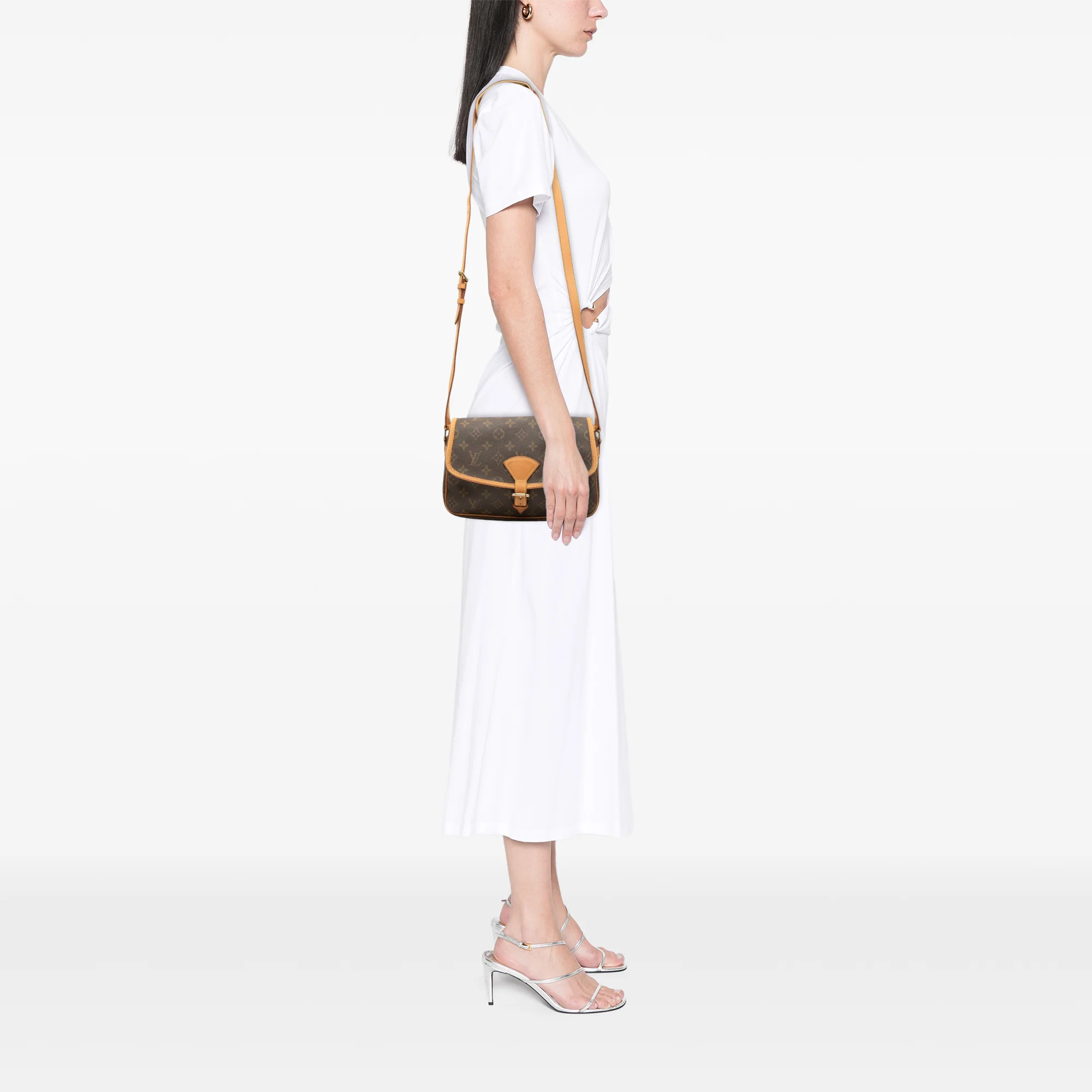 Sologne Handbag Monogram Canvas - Image 7
