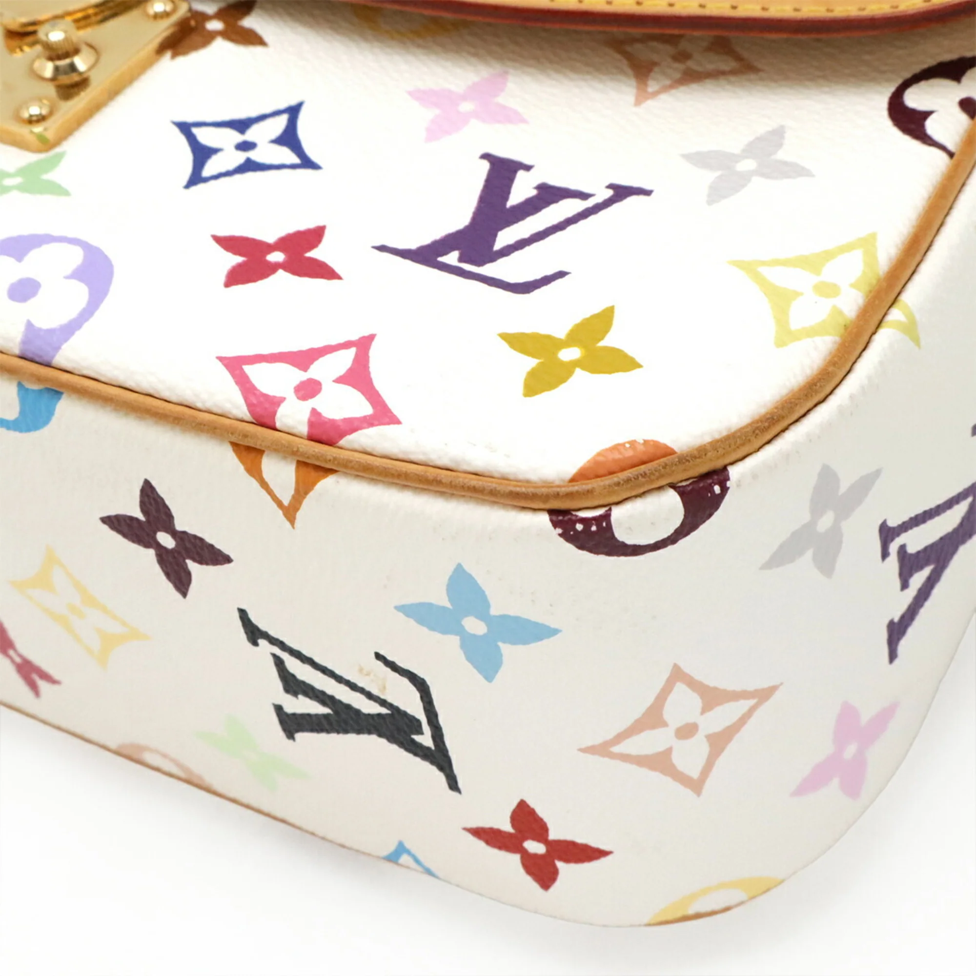 Sologne Handbag Monogram Multicolor - Image 4