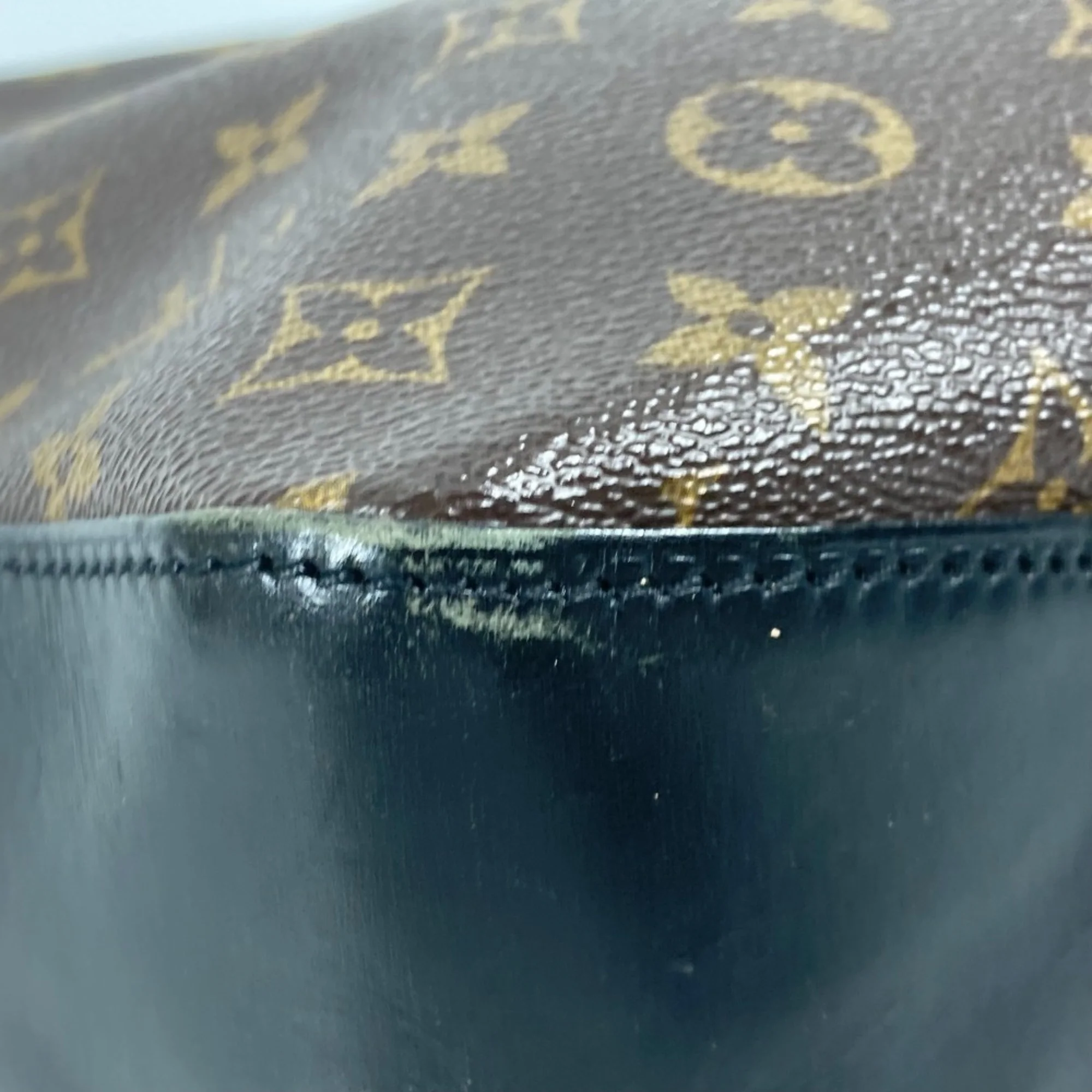 Torres Handbag Macassar Monogram Canvas GM - Image 9
