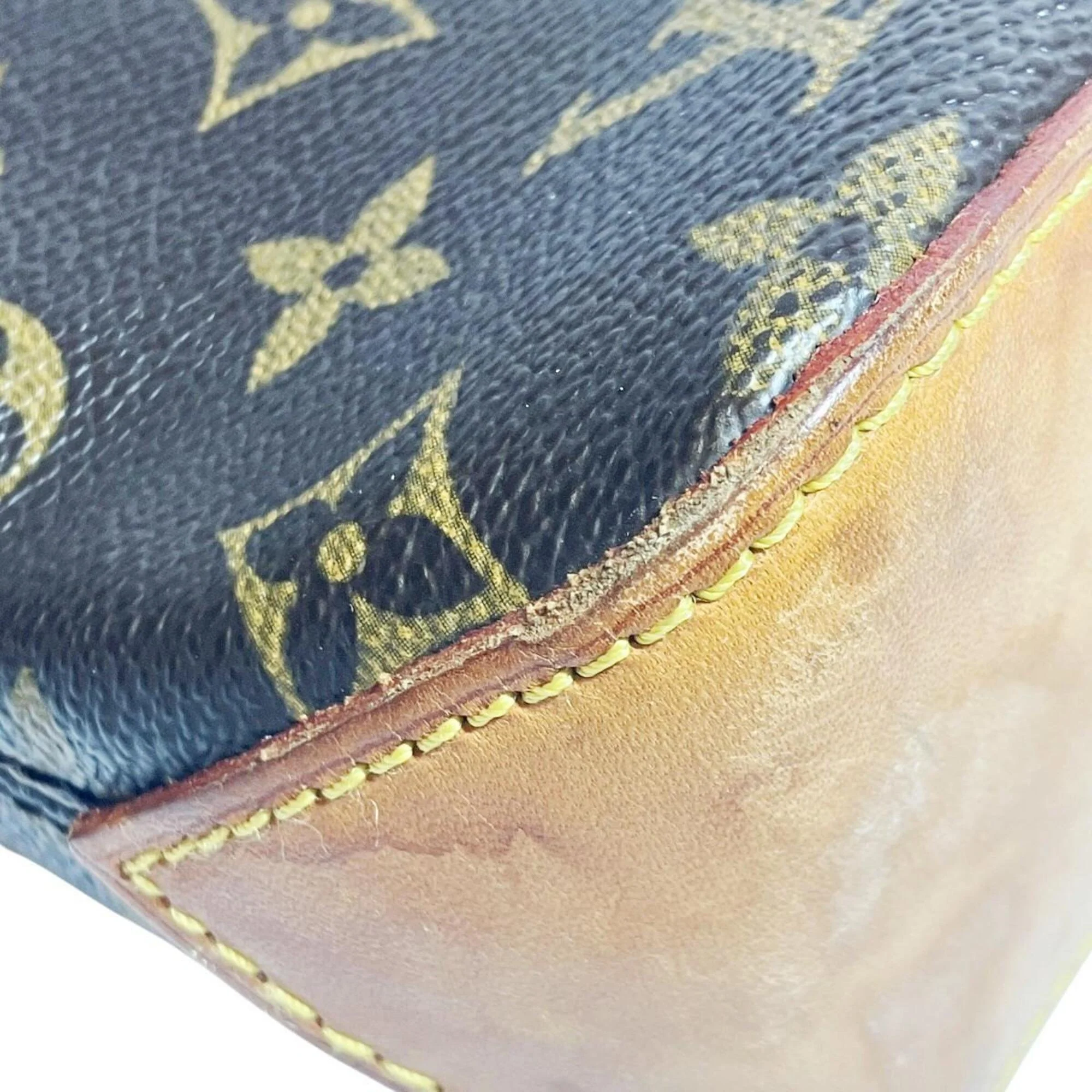 Trotteur Handbag Monogram Canvas - Image 7
