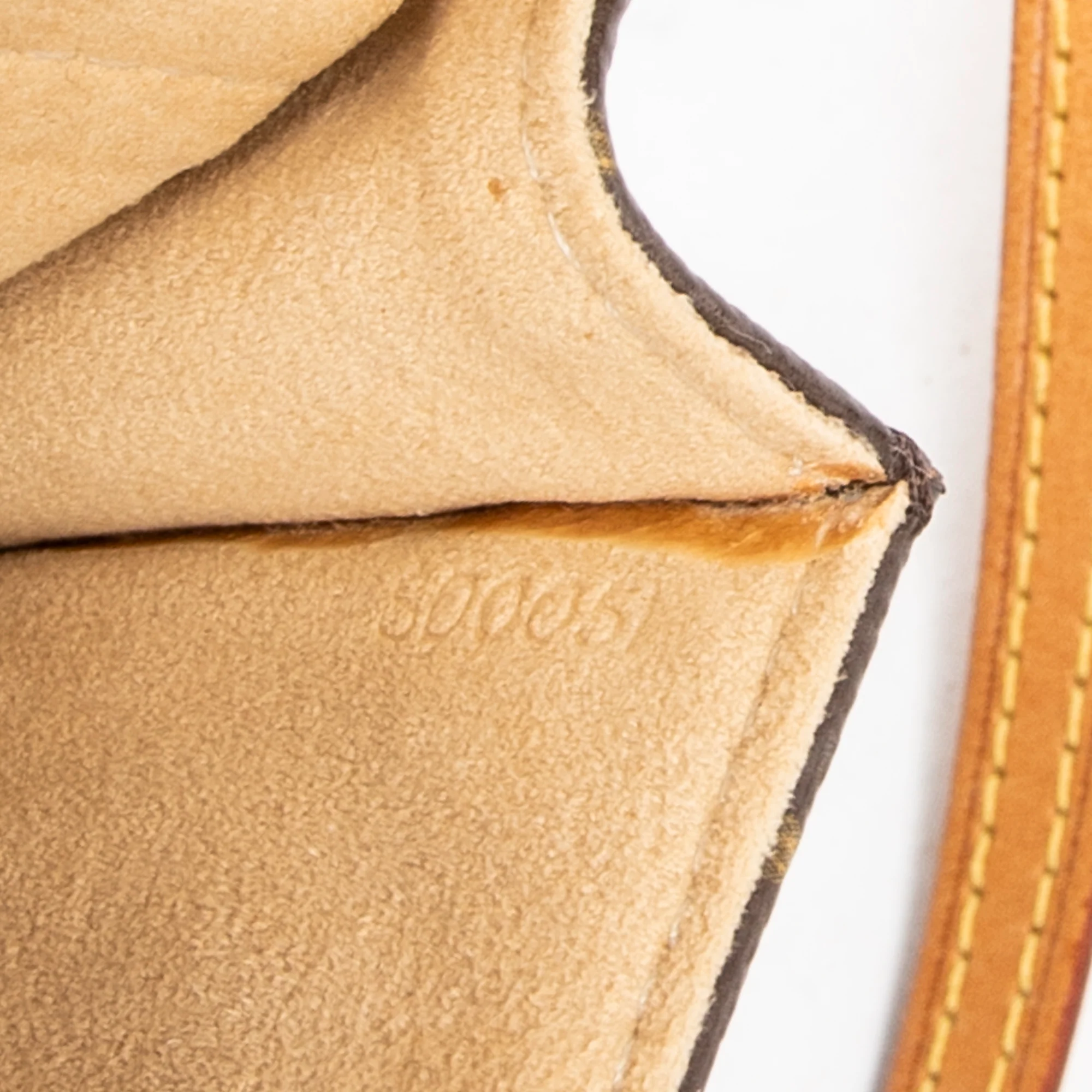 Twin Handbag Monogram Canvas GM - Image 5