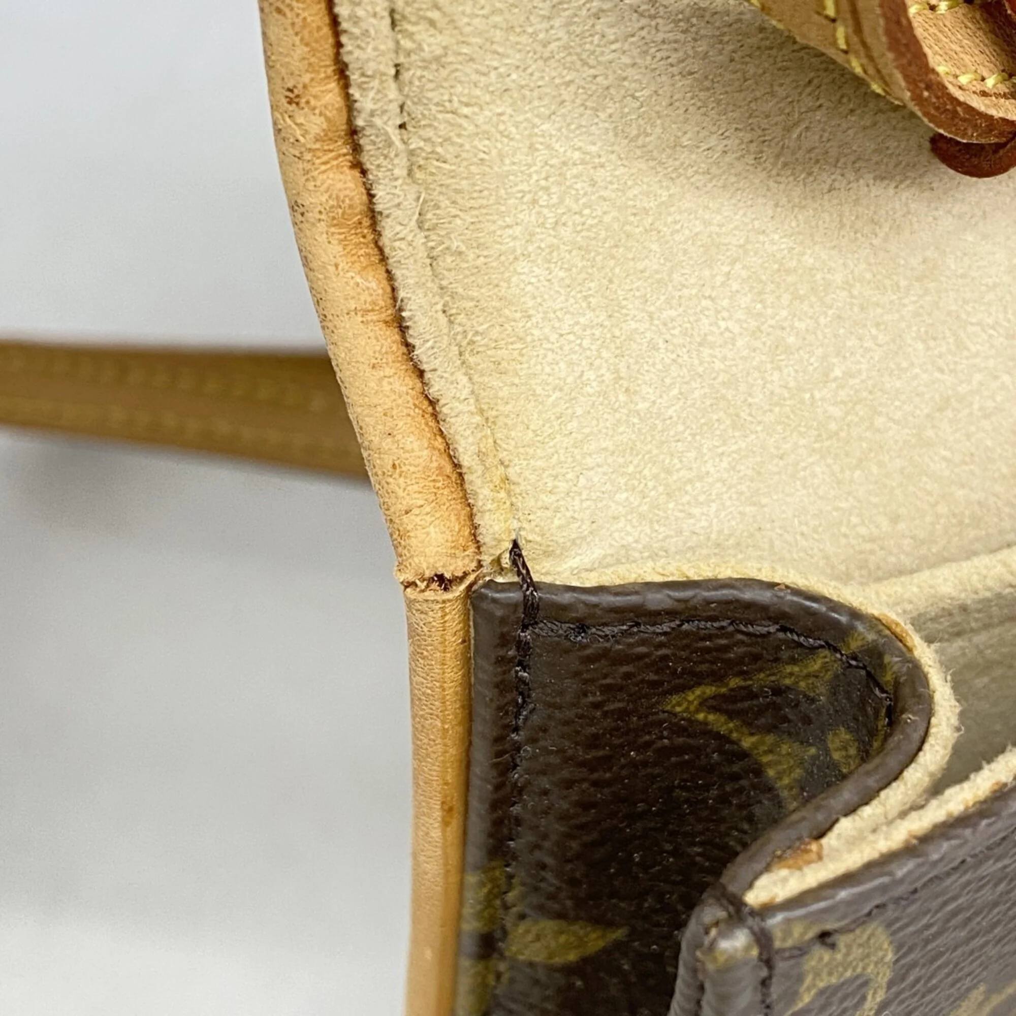 Twin Handbag Monogram Canvas GM - Image 6