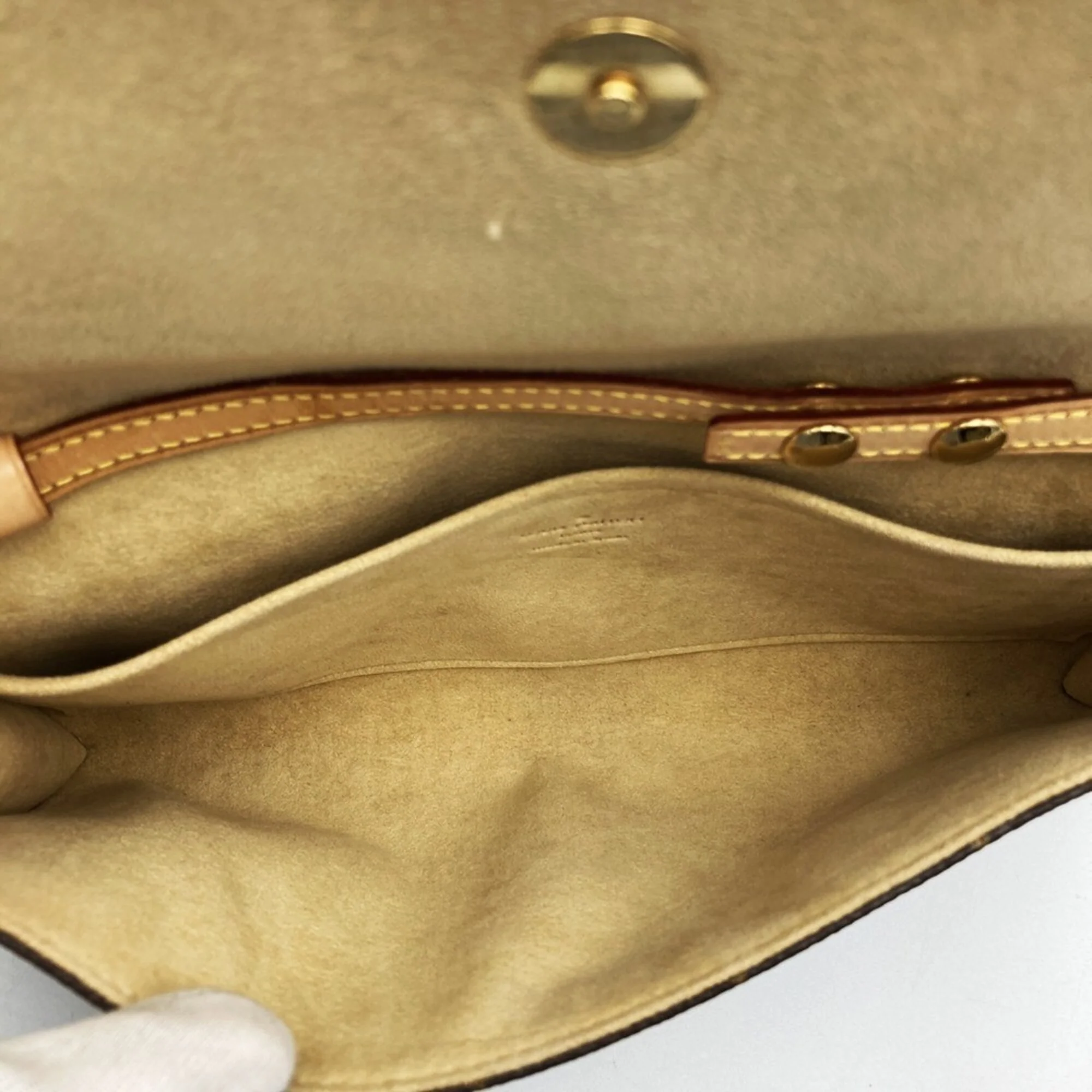 Twin Handbag Monogram Canvas GM - Image 6