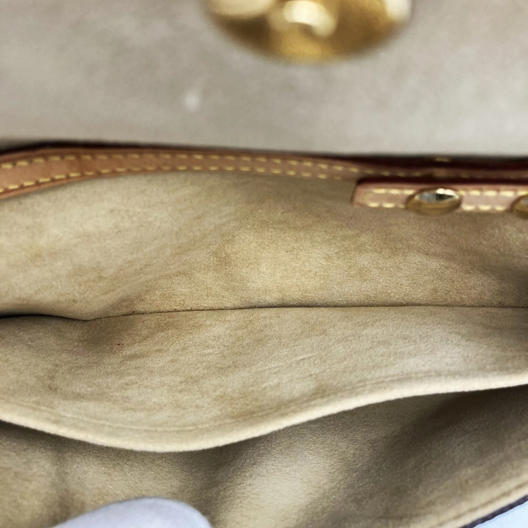 Twin Handbag Monogram Canvas GM - Image 7