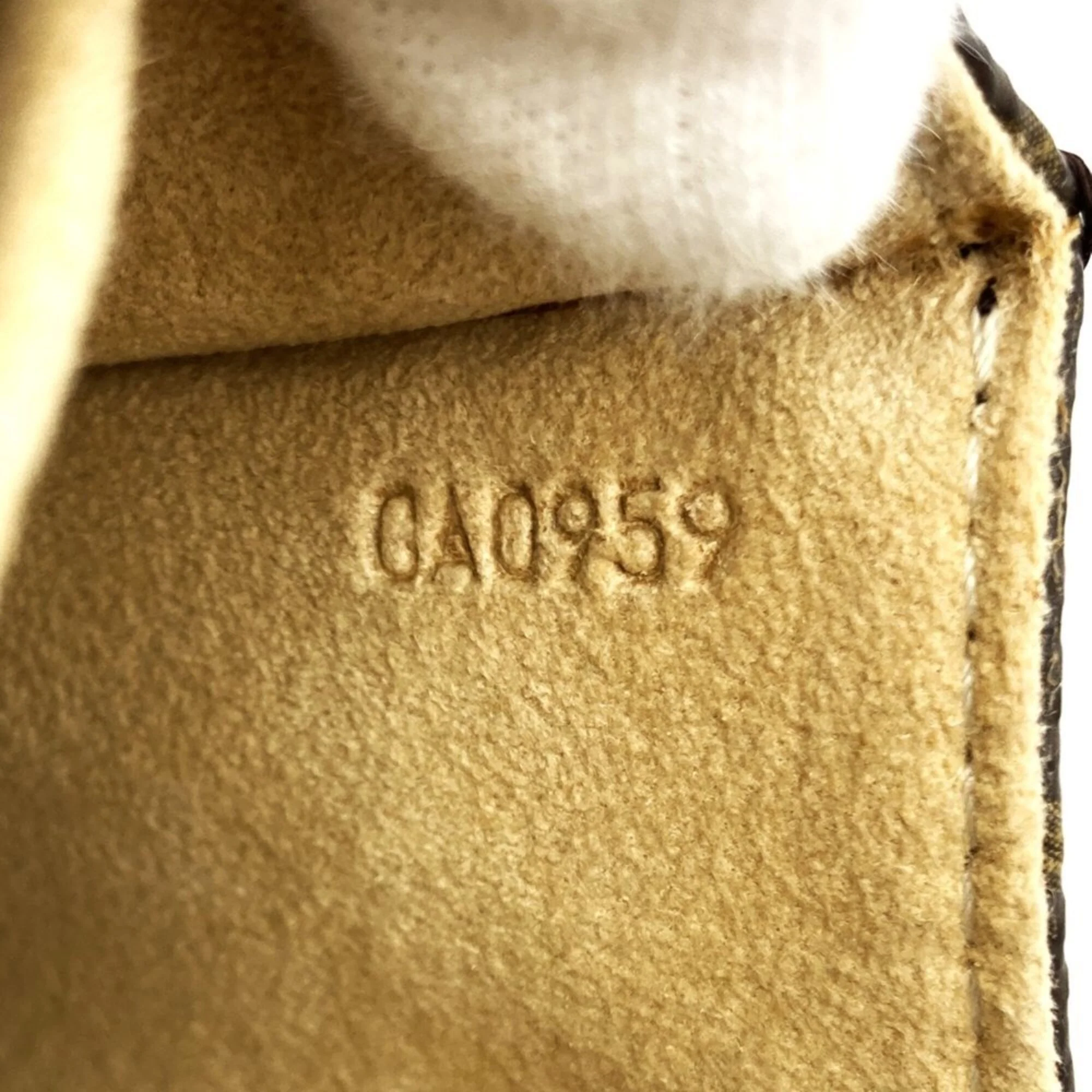 Twin Handbag Monogram Canvas GM - Image 9