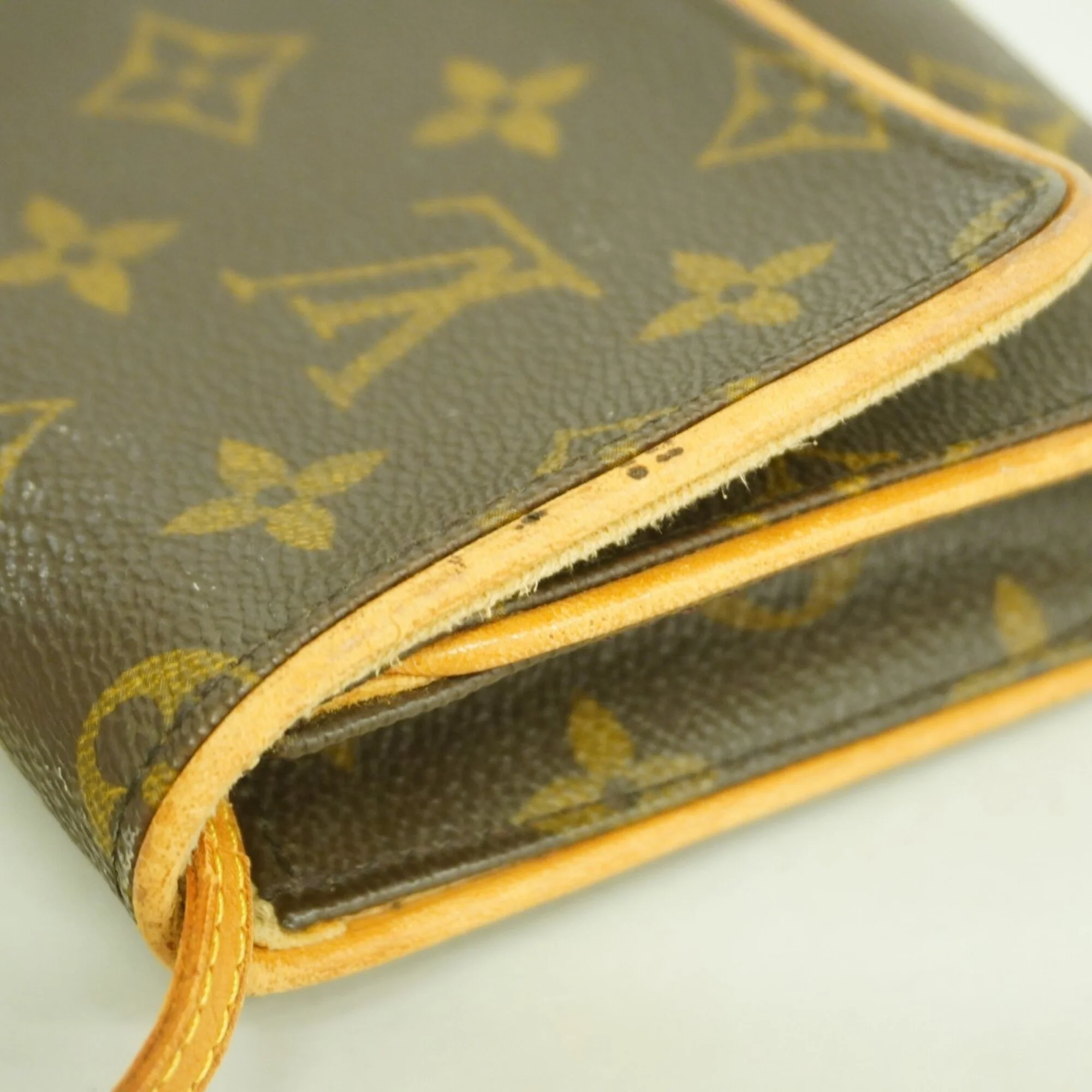 Twin Handbag Monogram Canvas GM - Image 9