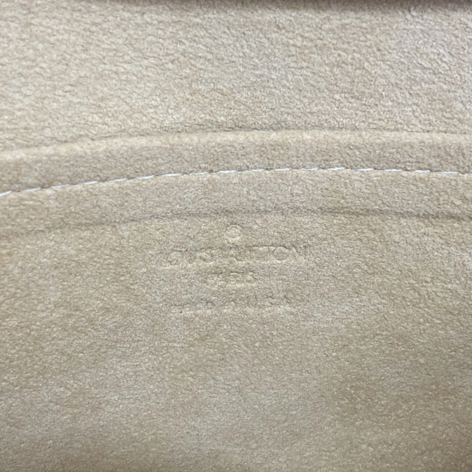 Twin Handbag Monogram Canvas GM - Image 5