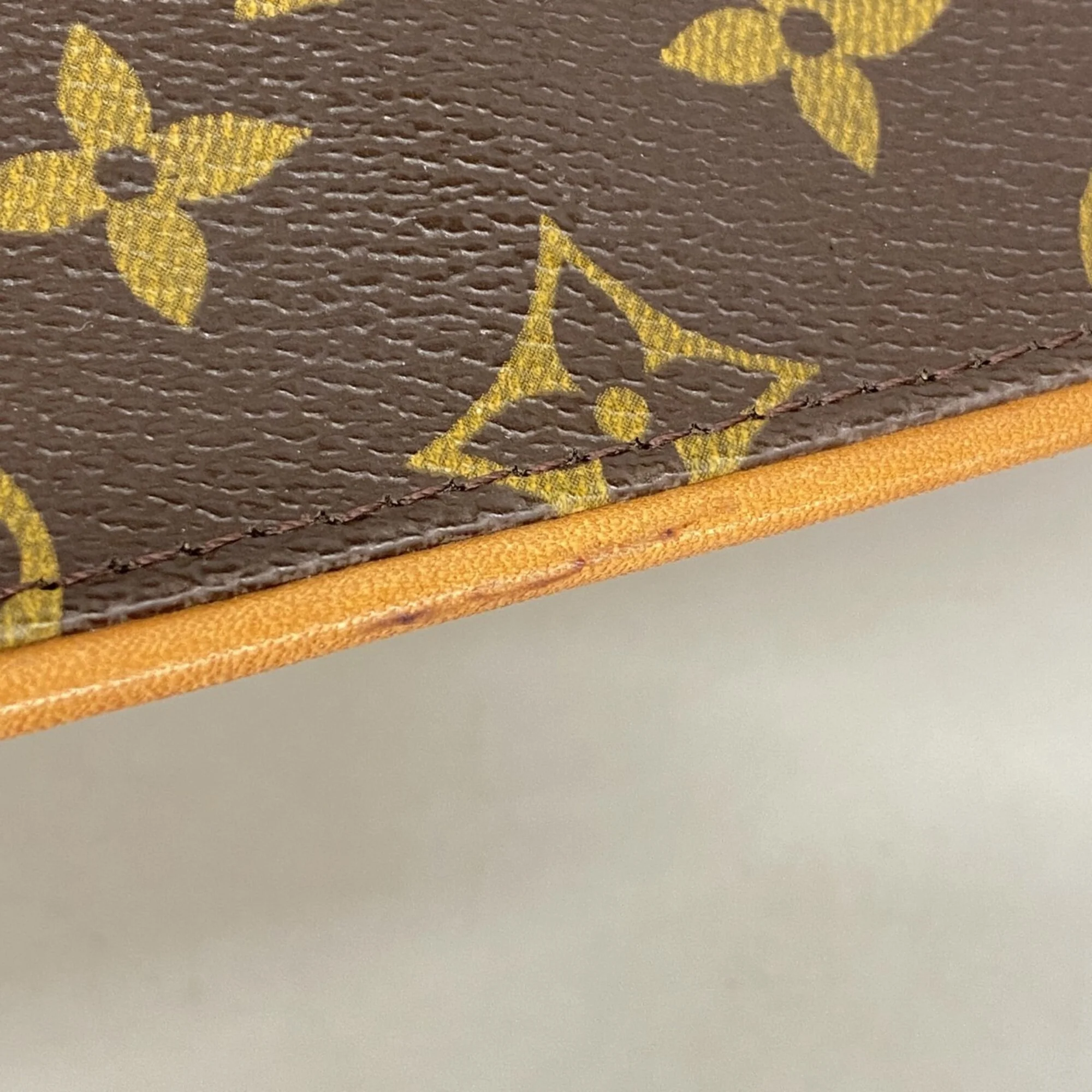 Twin Handbag Monogram Canvas GM - Image 7