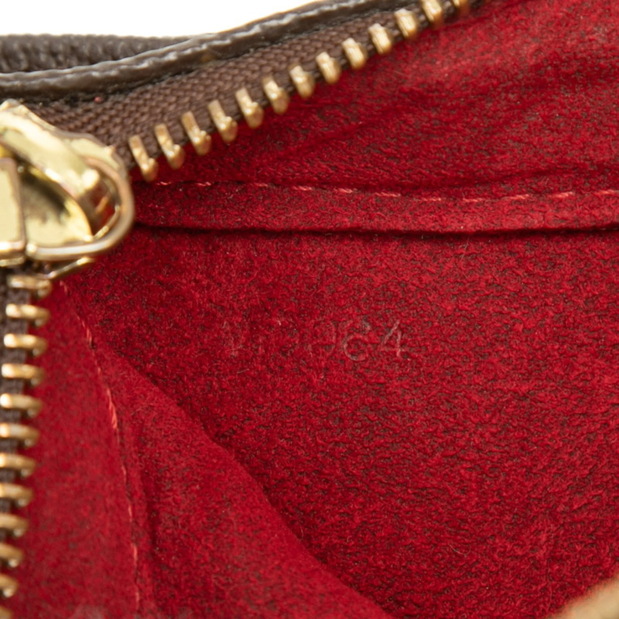 Viva Cite Handbag Monogram Canvas PM - Image 6
