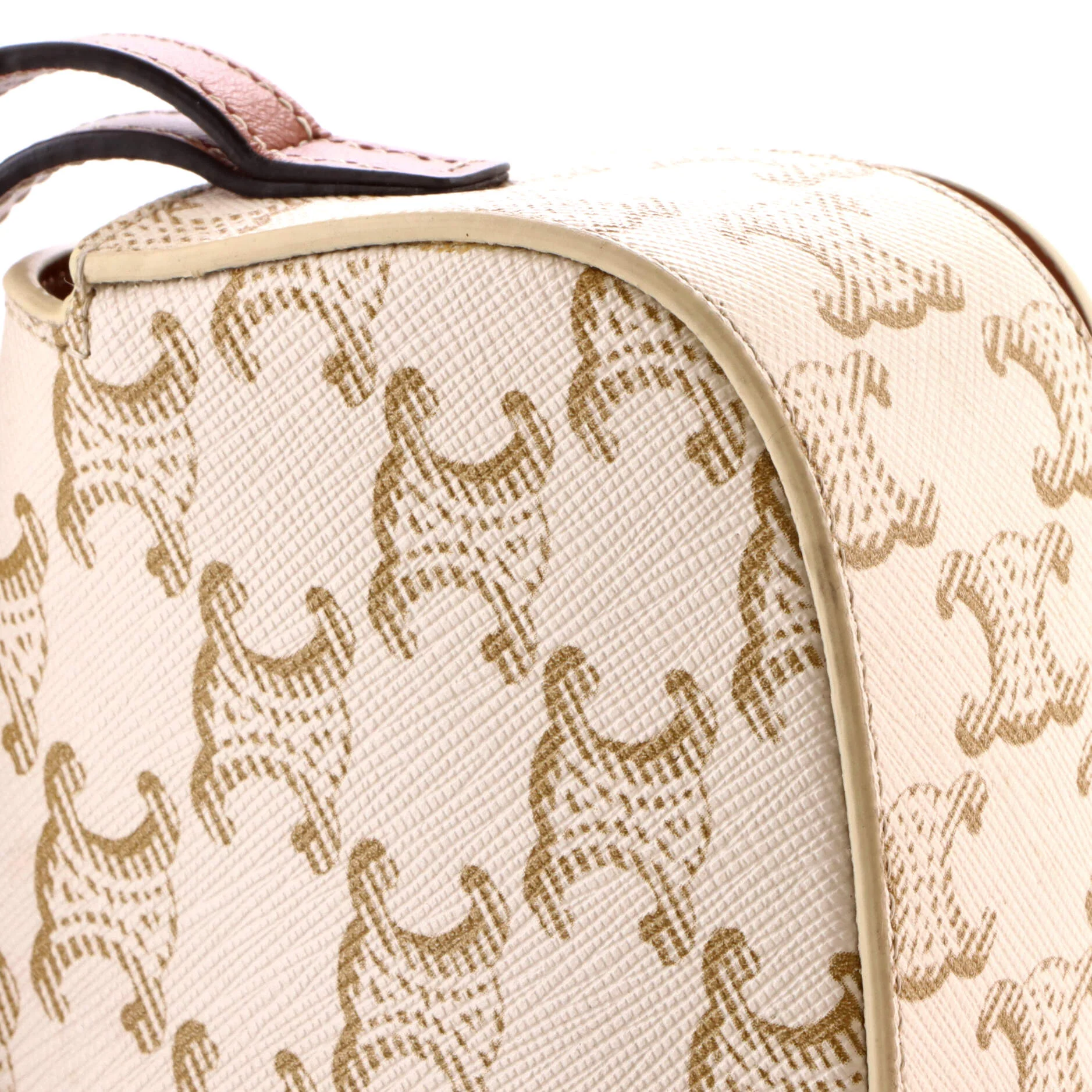 Tabou Clutch with Strap Triomphe Coated Canvas - Image 7