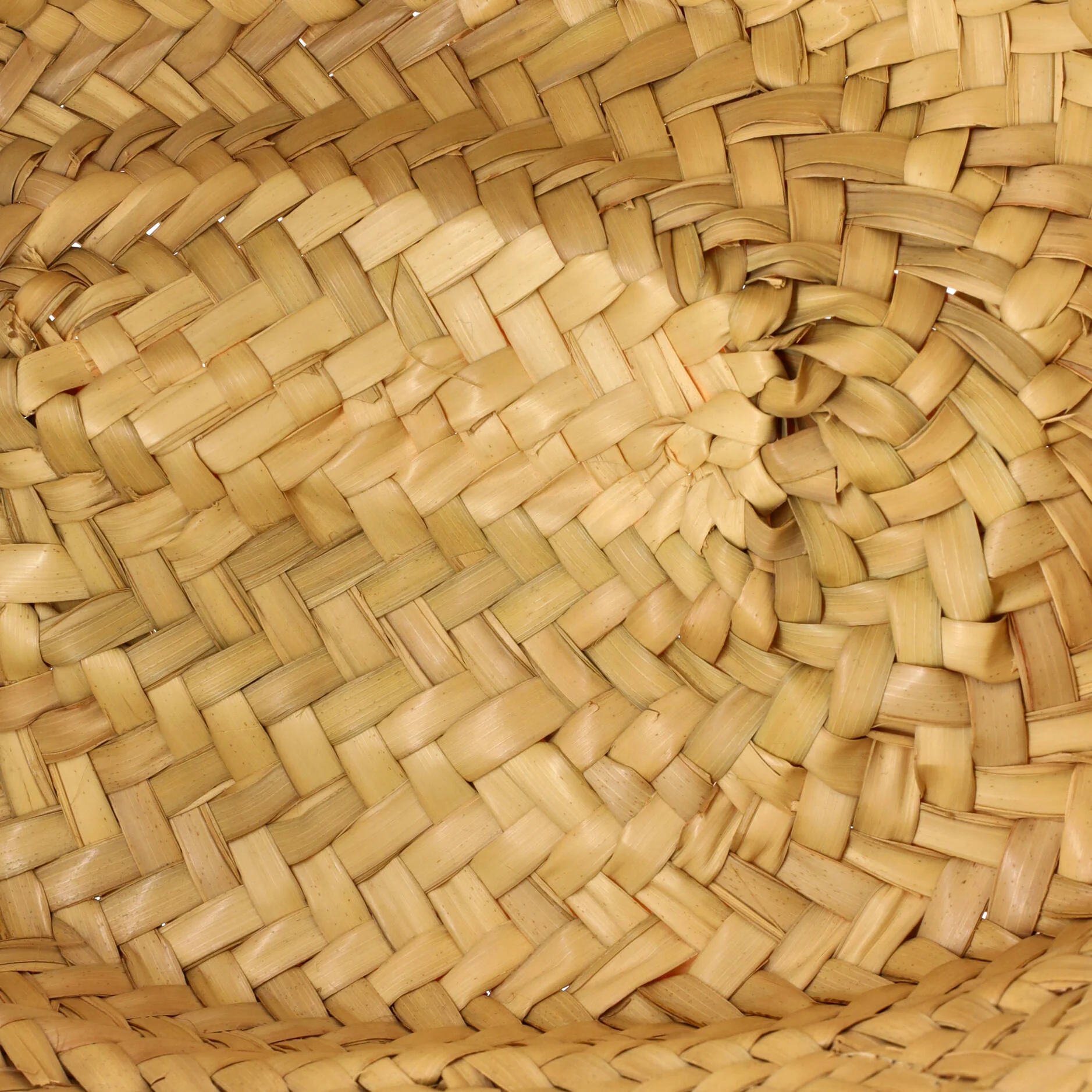 Triomphe Basket Shoulder Bag Raffia with Leather Teen - Image 5