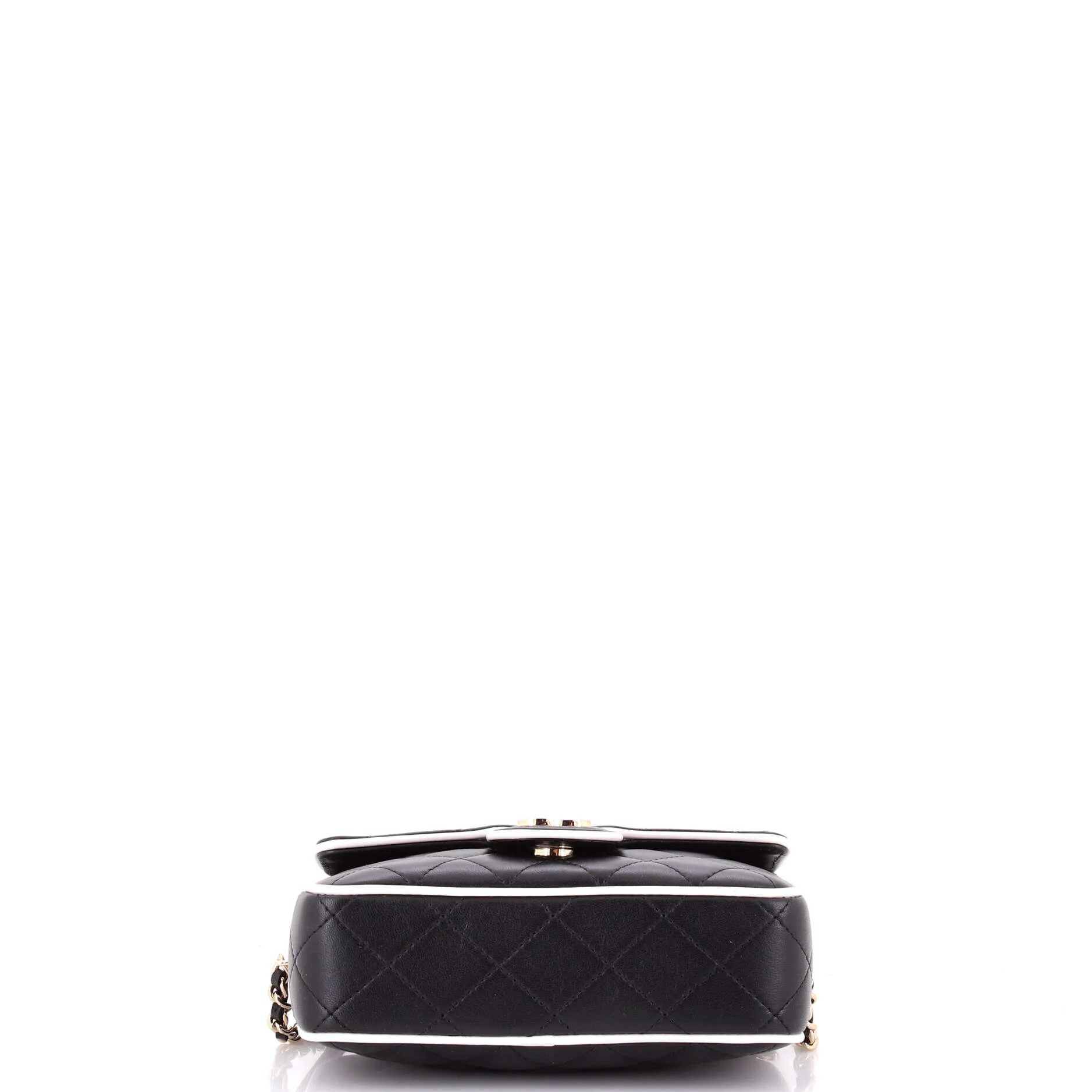 Resin CC Camera Bag Quilted Lambskin - Image 4