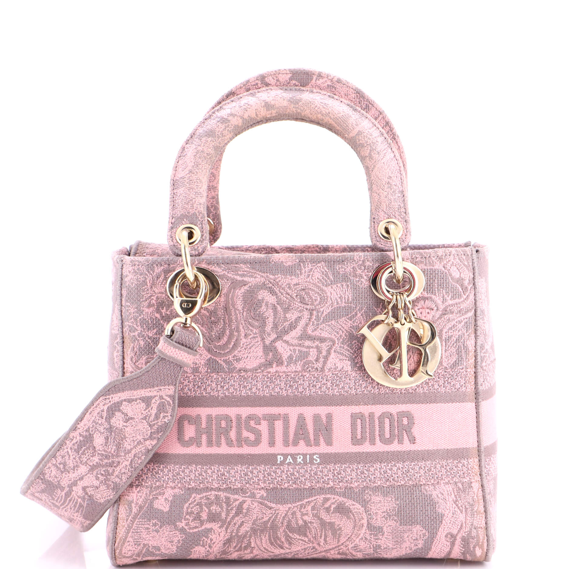Lady D-Lite Bag Embroidered Canvas Medium