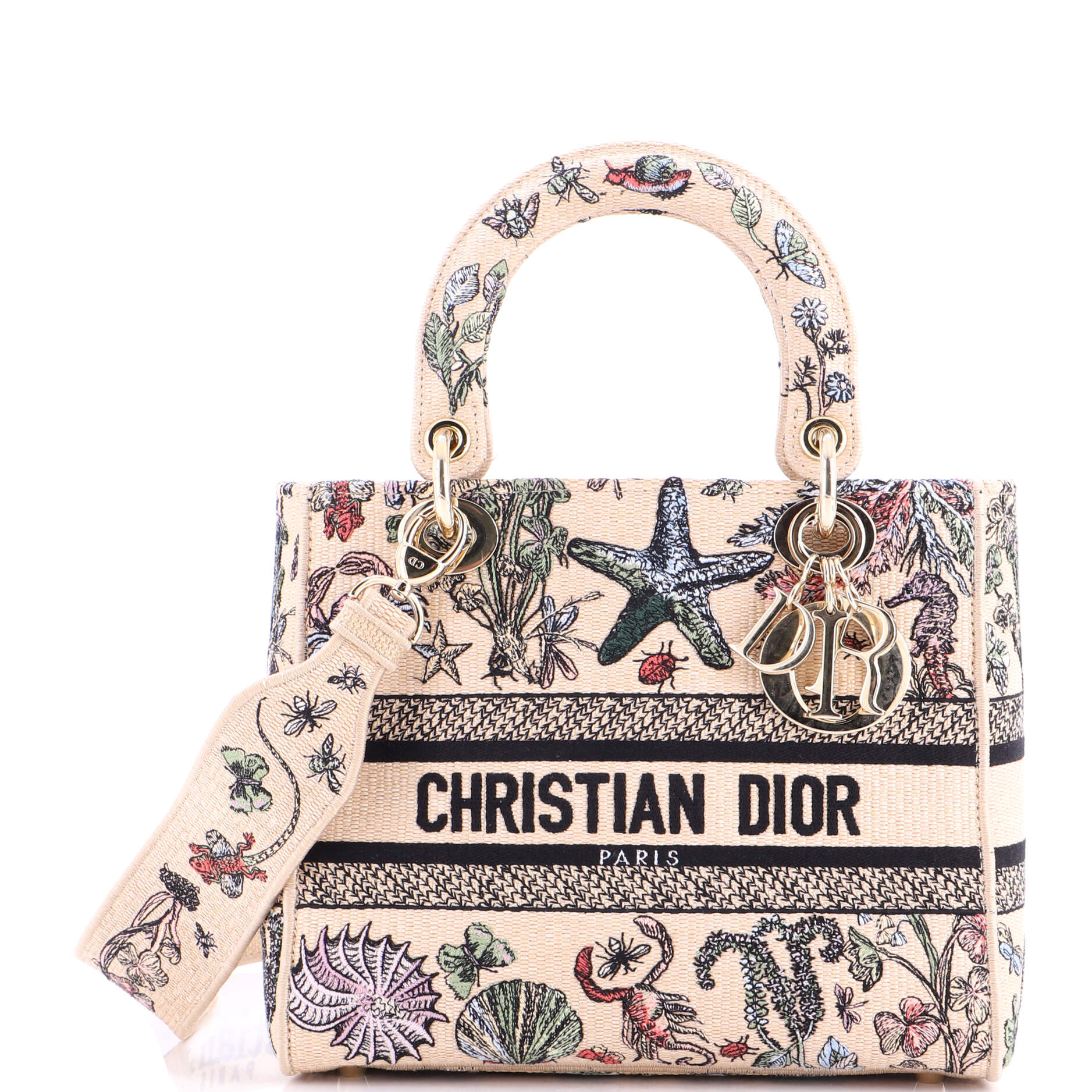 Lady D-Lite Bag Embroidered Raffia Medium