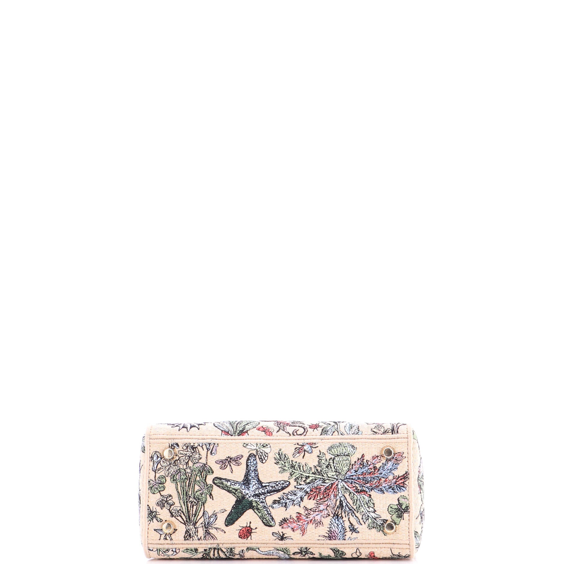 Lady D-Lite Bag Embroidered Raffia Medium - Image 4