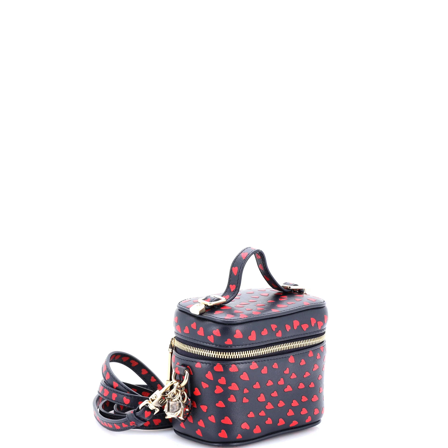 Lady Dior Vanity Case Printed Leather Micro - Image 2