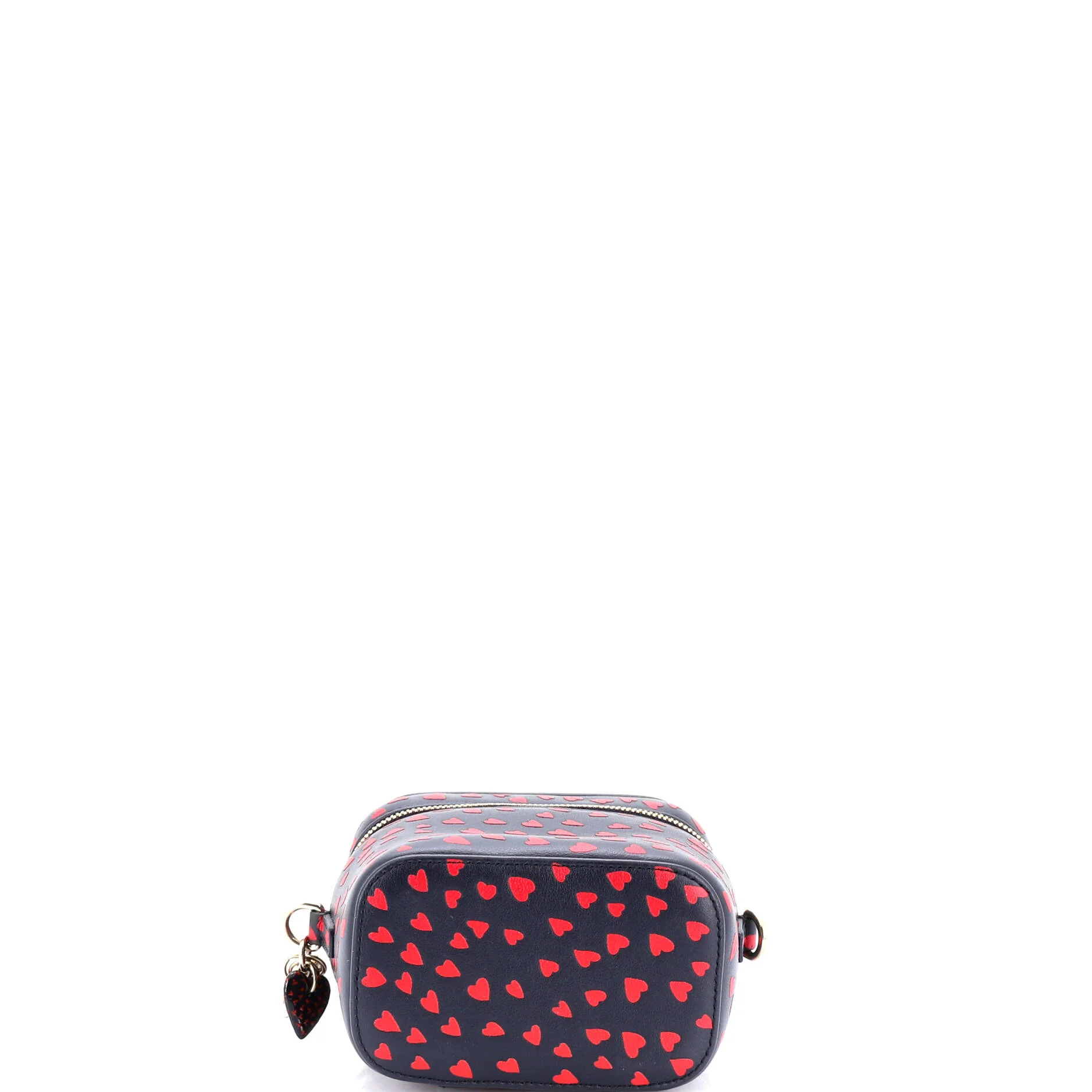 Lady Dior Vanity Case Printed Leather Micro - Image 4